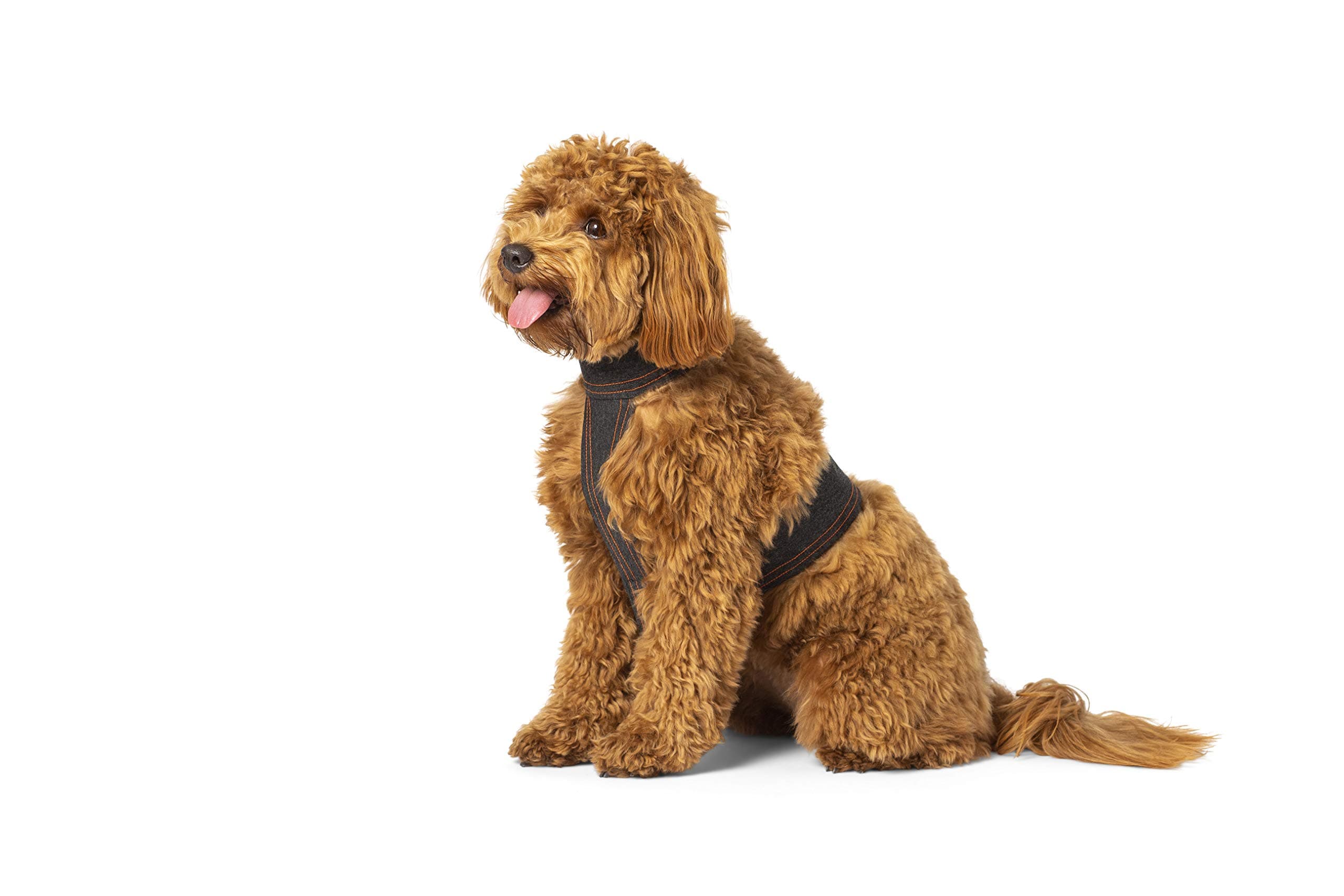 Calmer Canine Anxiety Treatment System (Vest Only/Medium)