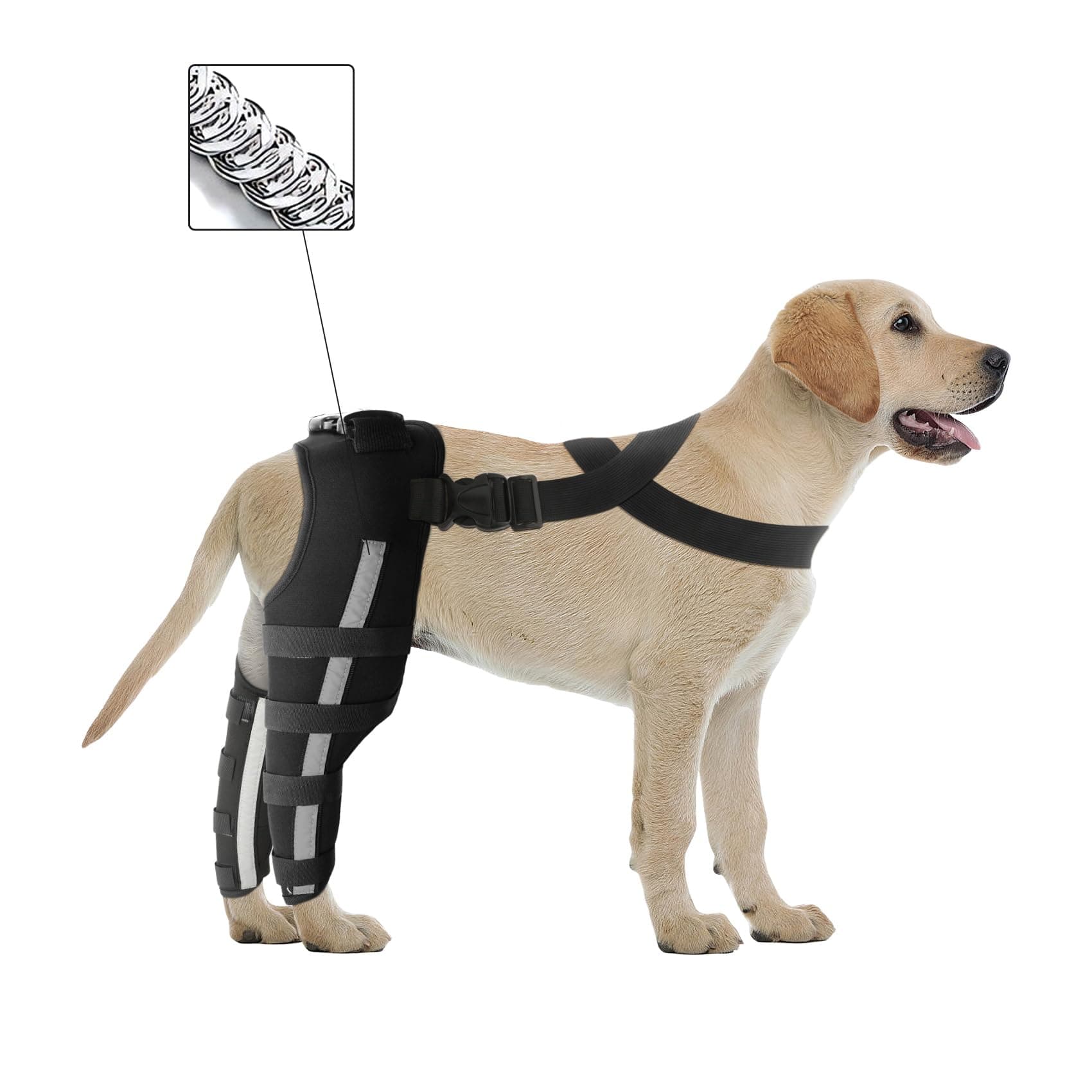 MROUEN Double Dog Knee Brace for Back Leg, Small, Black, Double Leg Support, Reflective Strips, Inner & Outer Springs