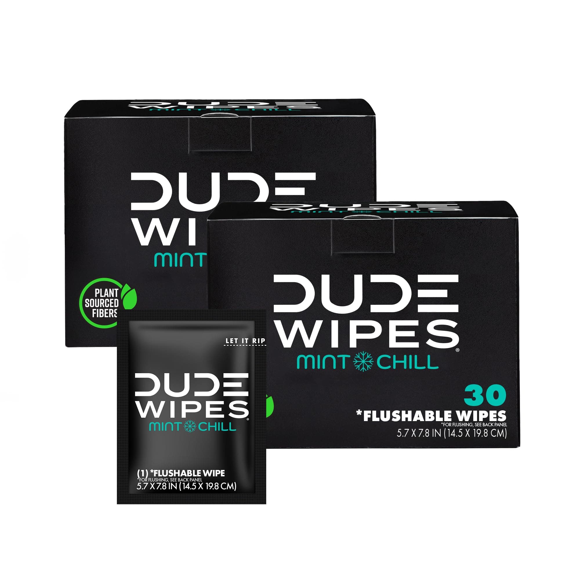 DUDE Wipes On-The-Go Mint Chill Adult Flushable Travel Wipes, 60 Count