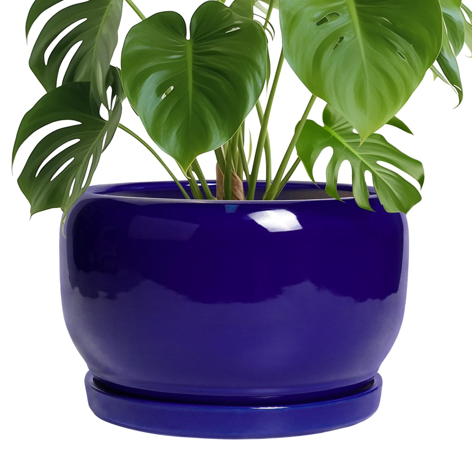 SQOWL Ceramic Plant Pot - 10 Inch Ceramic Planter for Indoor Outdoor, Round Flower Pot with Drainage Hole and Saucer, Modern Decorative Large Planter, Garden Decor, Plant Lover Gifts, Blue