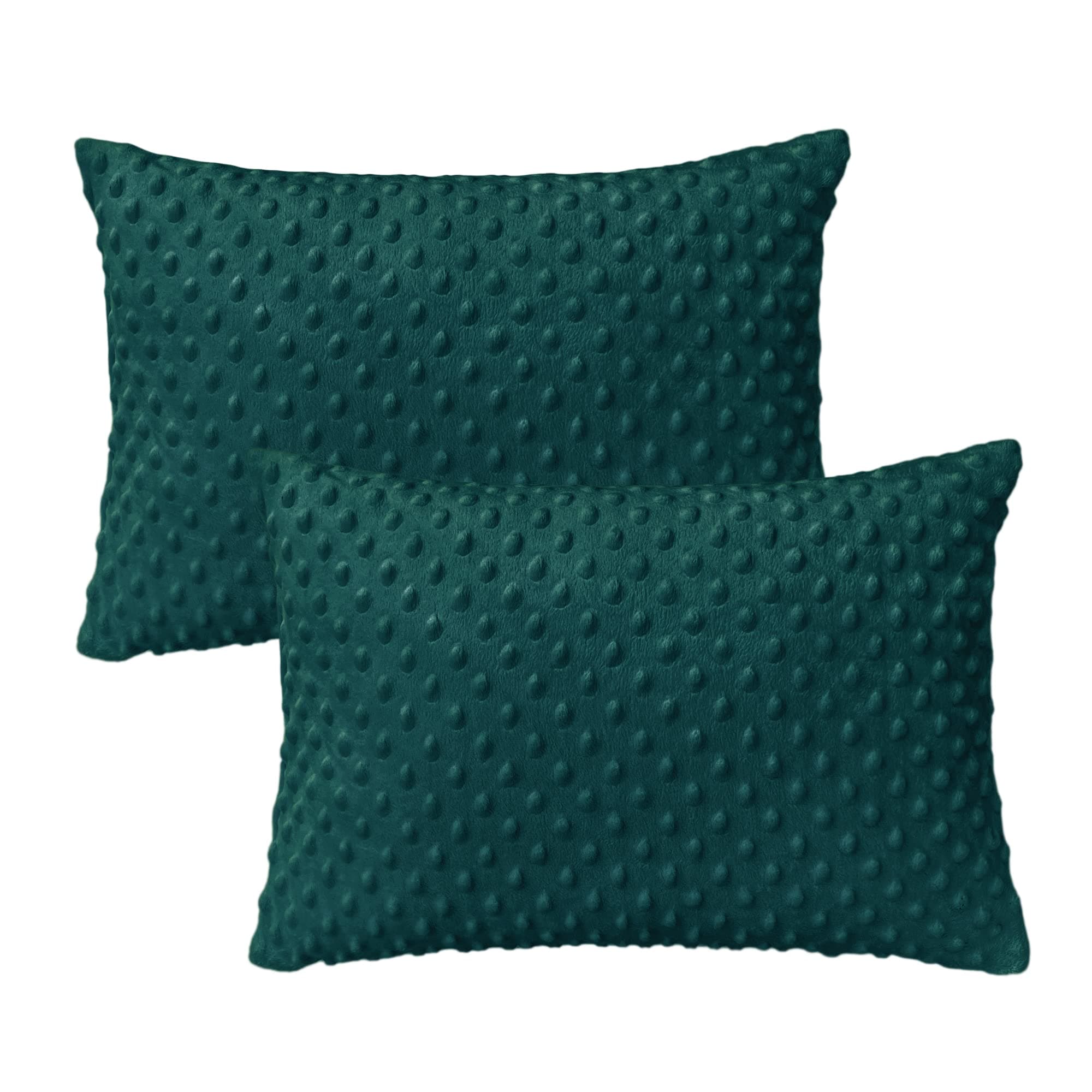 Pillowcase for Toddler Pillow Kids Pillow Travel Pillows 13 x 18 Inches - Zipper Closure - Made in USA (No. 7, Dark Green Minky)