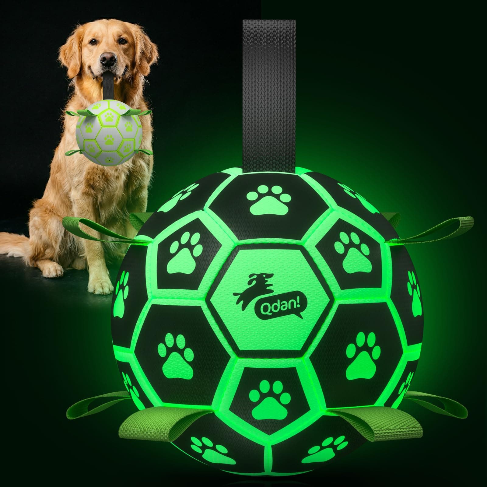 QDAN Light Up Dog Ball, Glow in The Dark Dog Toys, Soccer Ball for Dogs with Straps, Outdoor Dog Toys for Small Medium Dog, Dog Birthday (8 Inch)