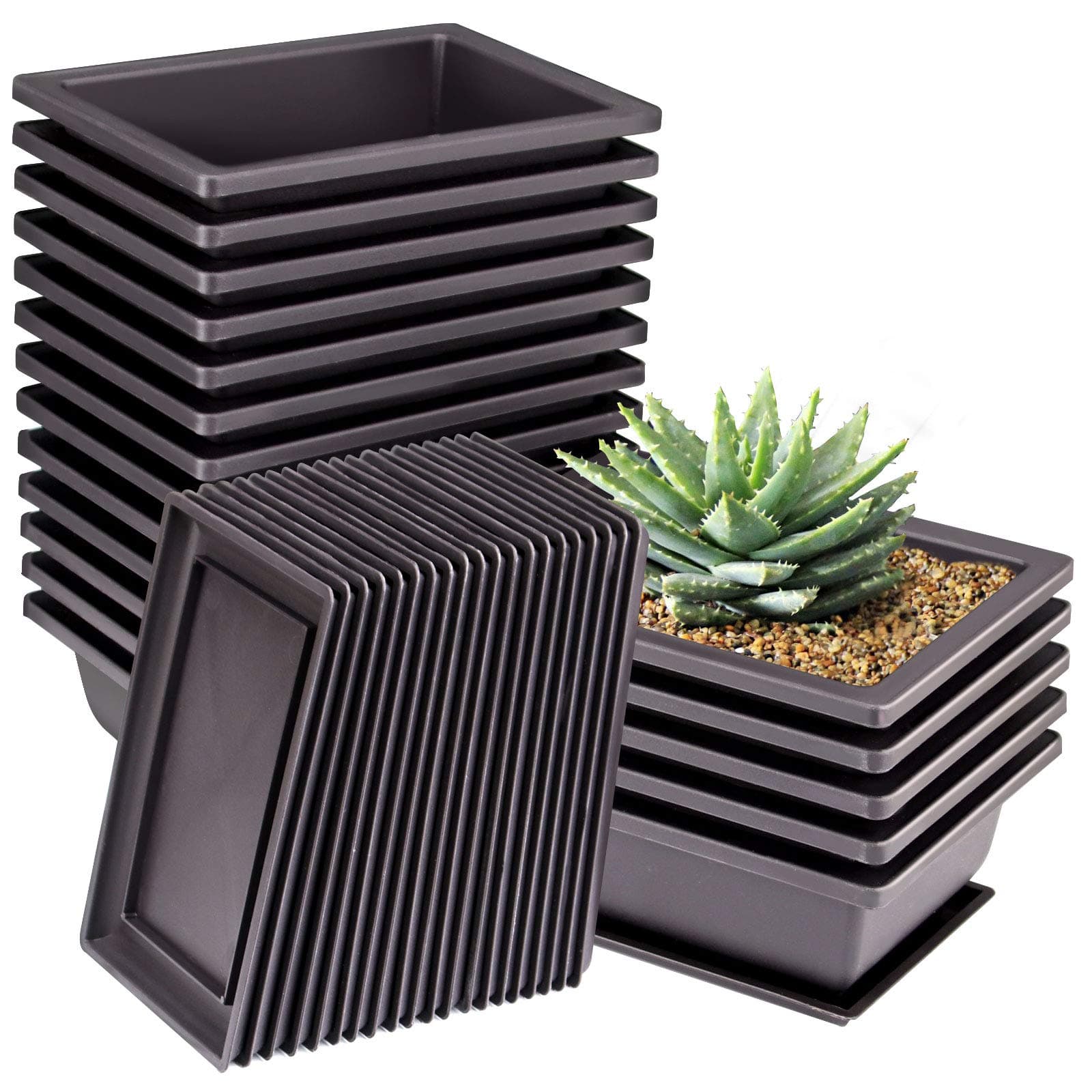 ZOENHOU 20 PCS 6.5 Inch Rectangular Bonsai Training Pots, Premium Plastic Plant Pot with Deep Humidity Trays, for Plants Flowers African Violets Reusable Durable