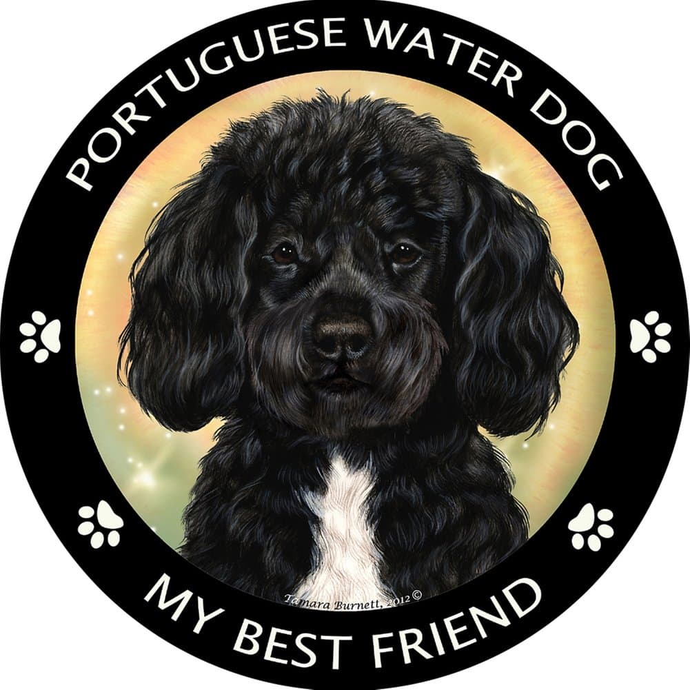 Portuguese Water Dog -Black Best Friend Car, Refrigerator Magnet