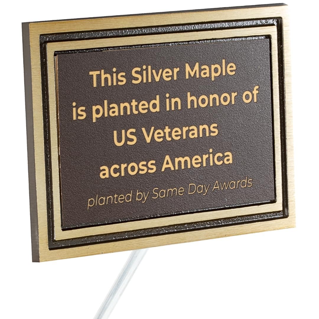Same Day Awards Personalized Outdoor Memorial Plaque, 6x8