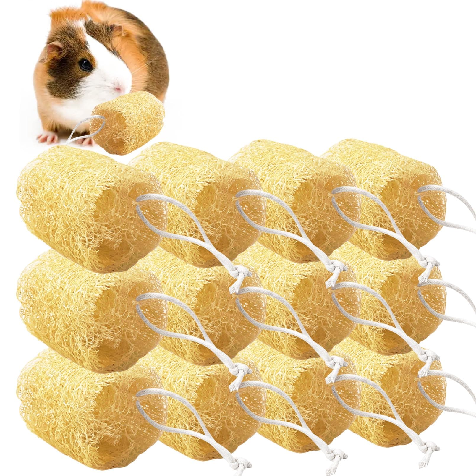 Apatal 12 Pcs Rabbit Chew Toys Natural Bunny Loofah Chew Toy Chinchilla Teeth Grinding Toys Guinea Pig Fibre-Rich Treats Enrichment Bunny Accessories for Rabbits Hamster (M)