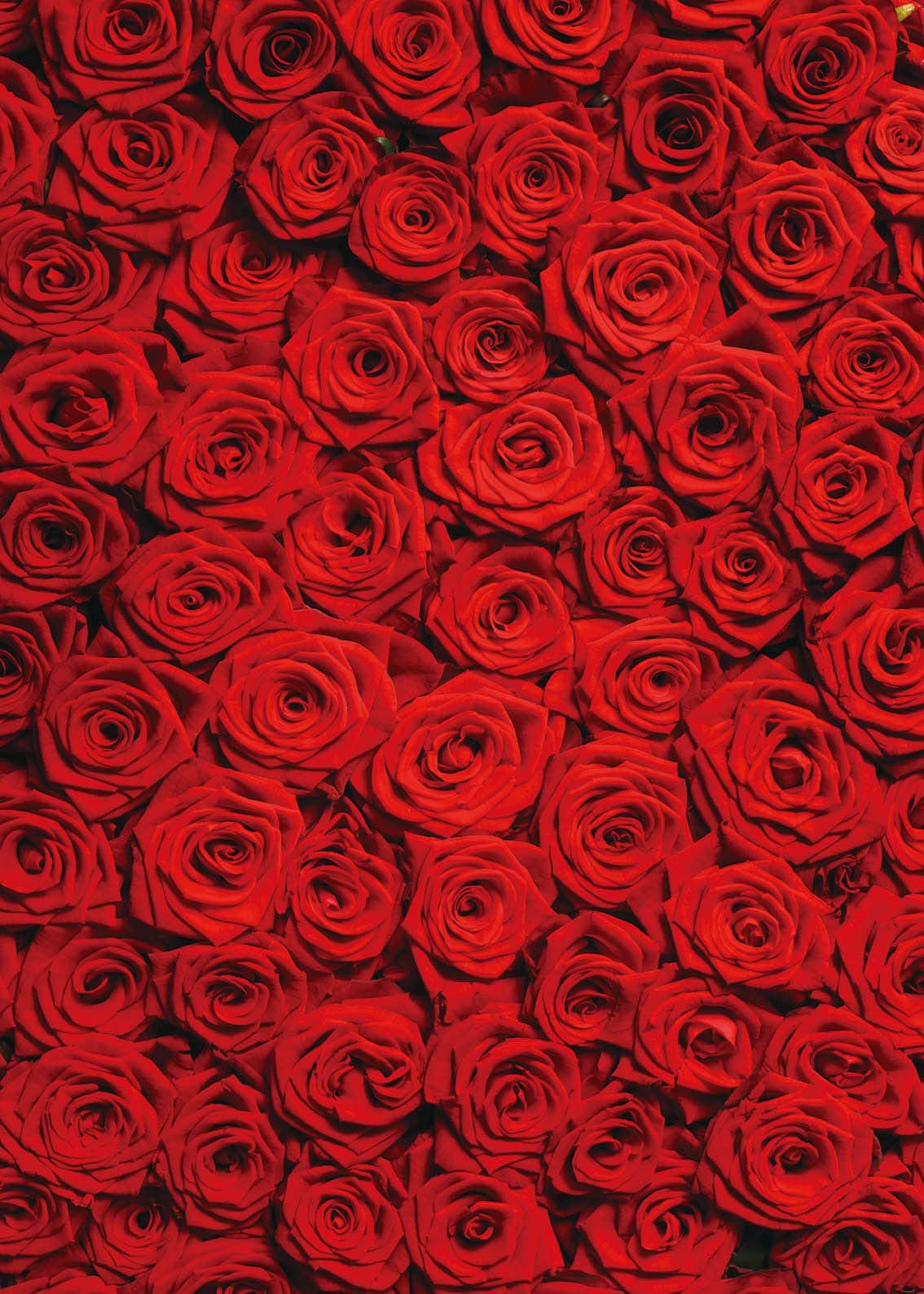 RUINI Red Rose Floral Wedding Photography Backdrop Roses Wall Lovers Girls Children Photos Backdrop 8x10FT
