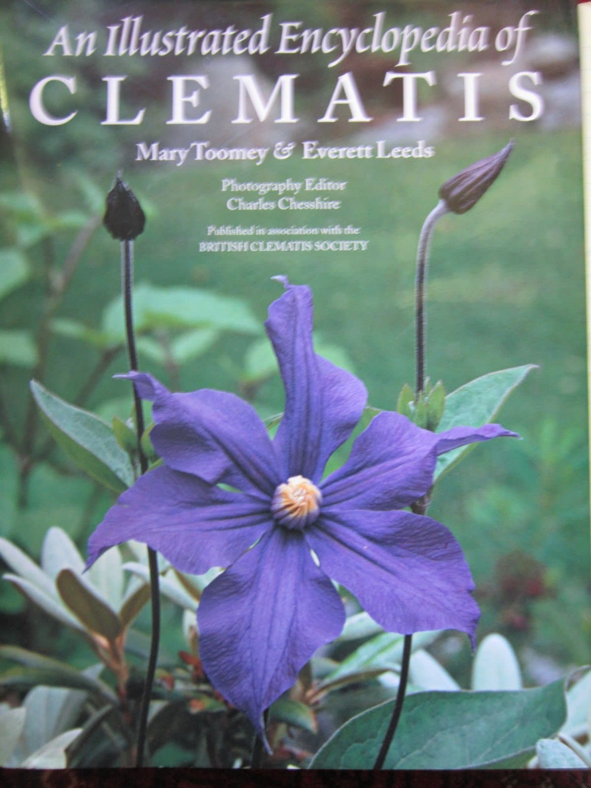 Illustrated Encyclopedia Of Clematis