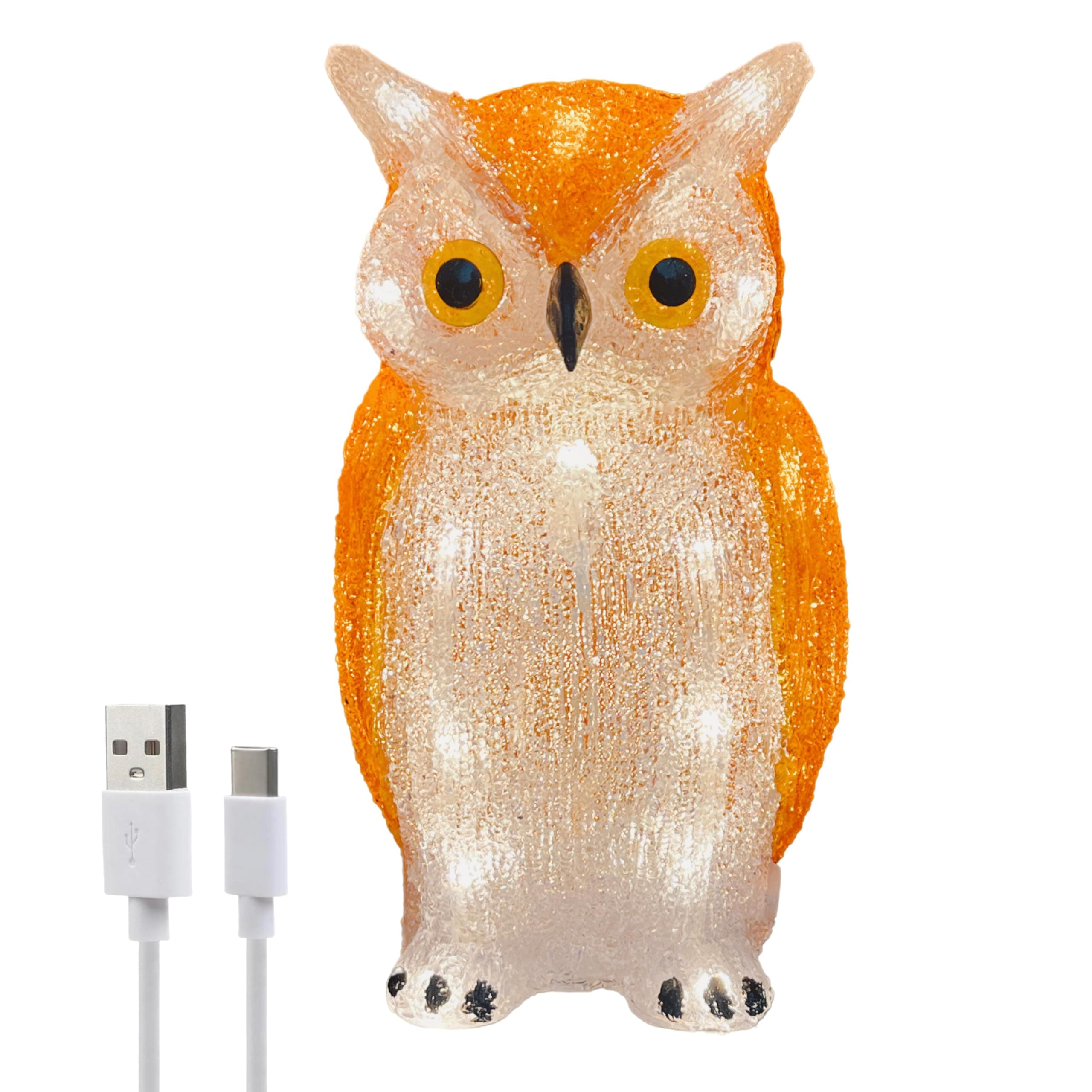 Gloworm YKL-1018, 22.5CM Acrylic Owl Lighting, Garden/Home Figure Light Up, 24 Warm White LEDs, 6H Timer, Dual Power Supply USB or Batteries: 3 x AA (Not Included) Garden/Home Decoration Indoor