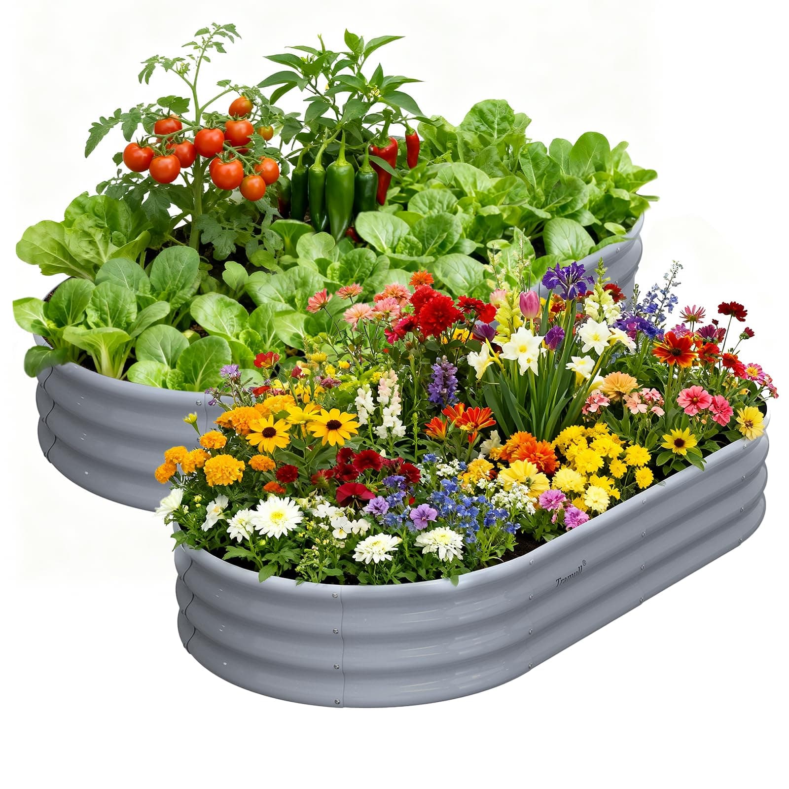 Tramull Galvanized Raised Garden Bed, 2 Pack 6x3x1ft Oval Metal Planter Box