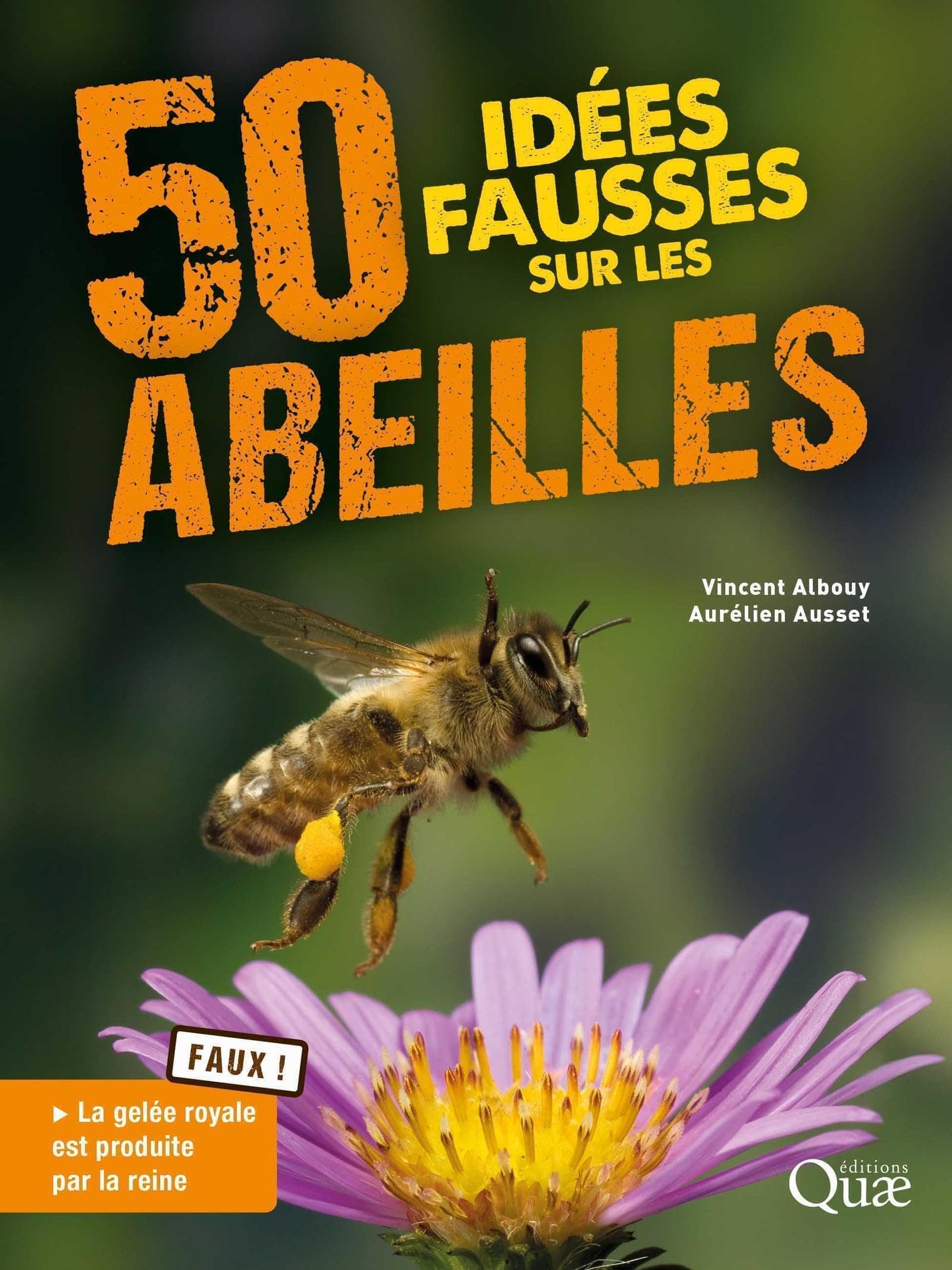 50 IDÉES FAUSSES SUR LES ABEILLES