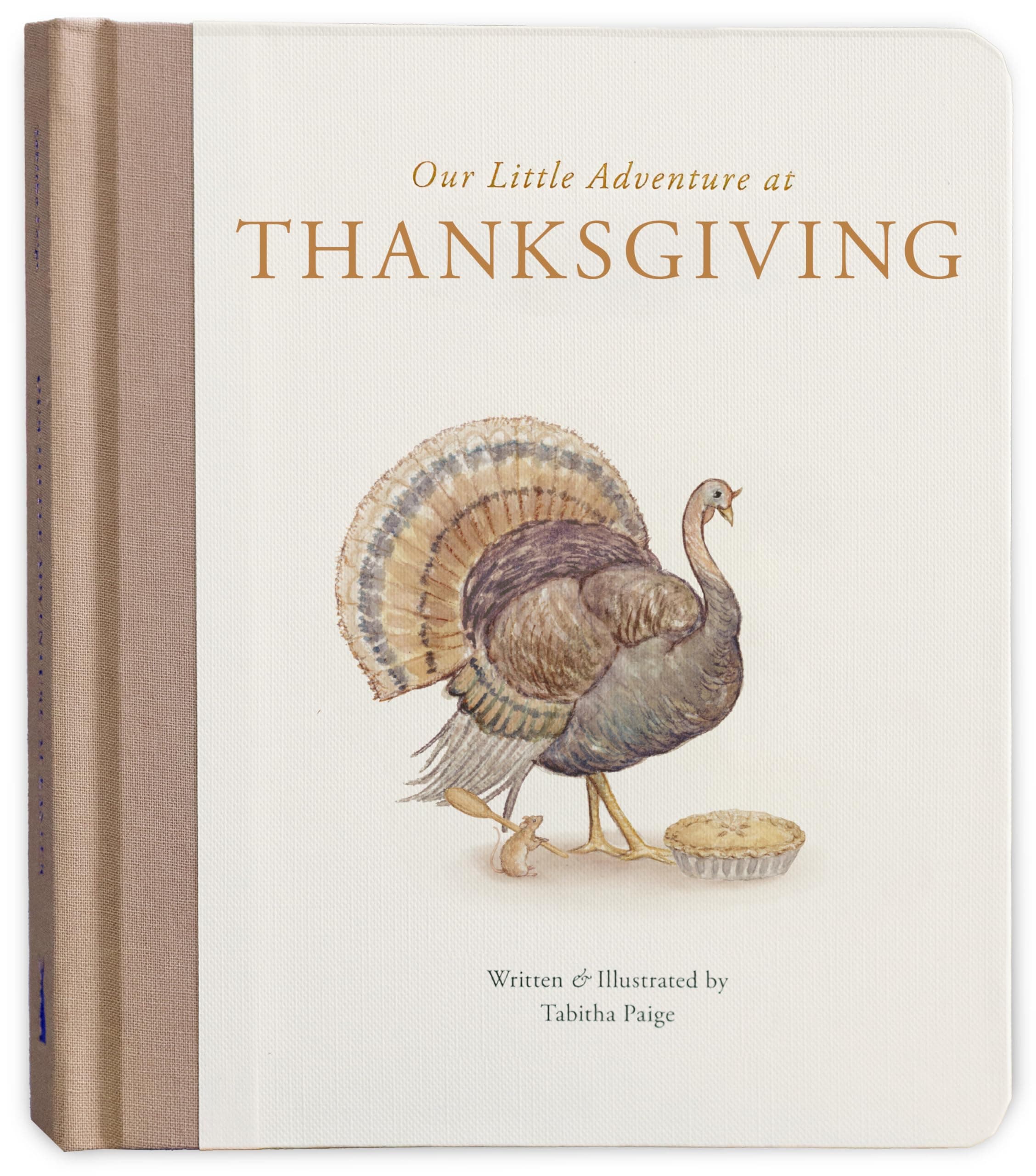 Our Little Adventure at Thanksgiving: Featuring Foundational Language Concepts and Lessons on Gratitude