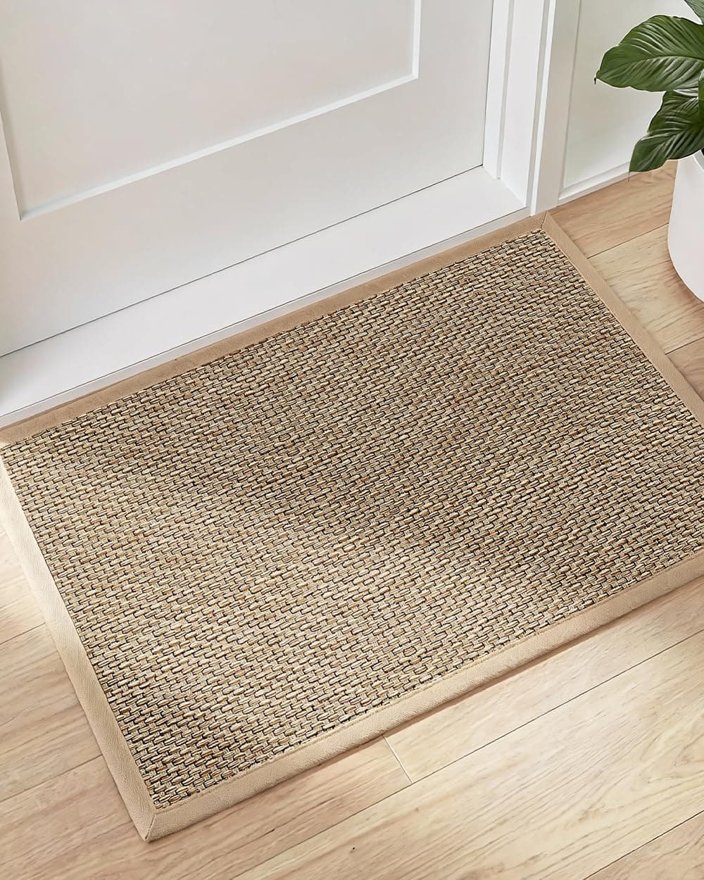 OWATRKDEY Indoor Entryway Door Mat, Non-Slip Rubber Backing, Low Profile Dirt Trapper Mat for Home, Patio and Office, Beige (2' x 3' Rectangular)