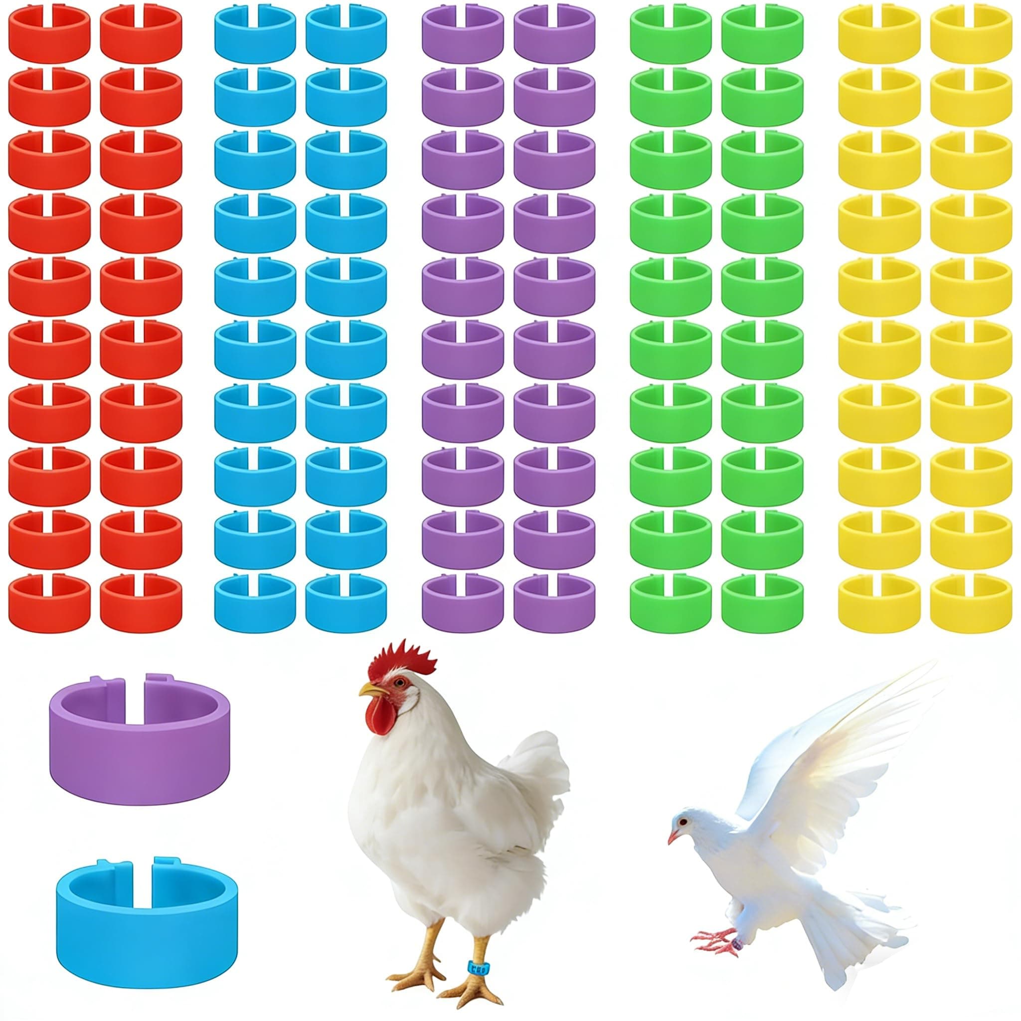 Bmpzery 100 Pcs Chicken Leg Bands 16mm, Plastic Chicken Leg Rings, Color Coded Numbered Poultry Identification Bands, Heavy Duty Snap On Design for Farm Backyard Use