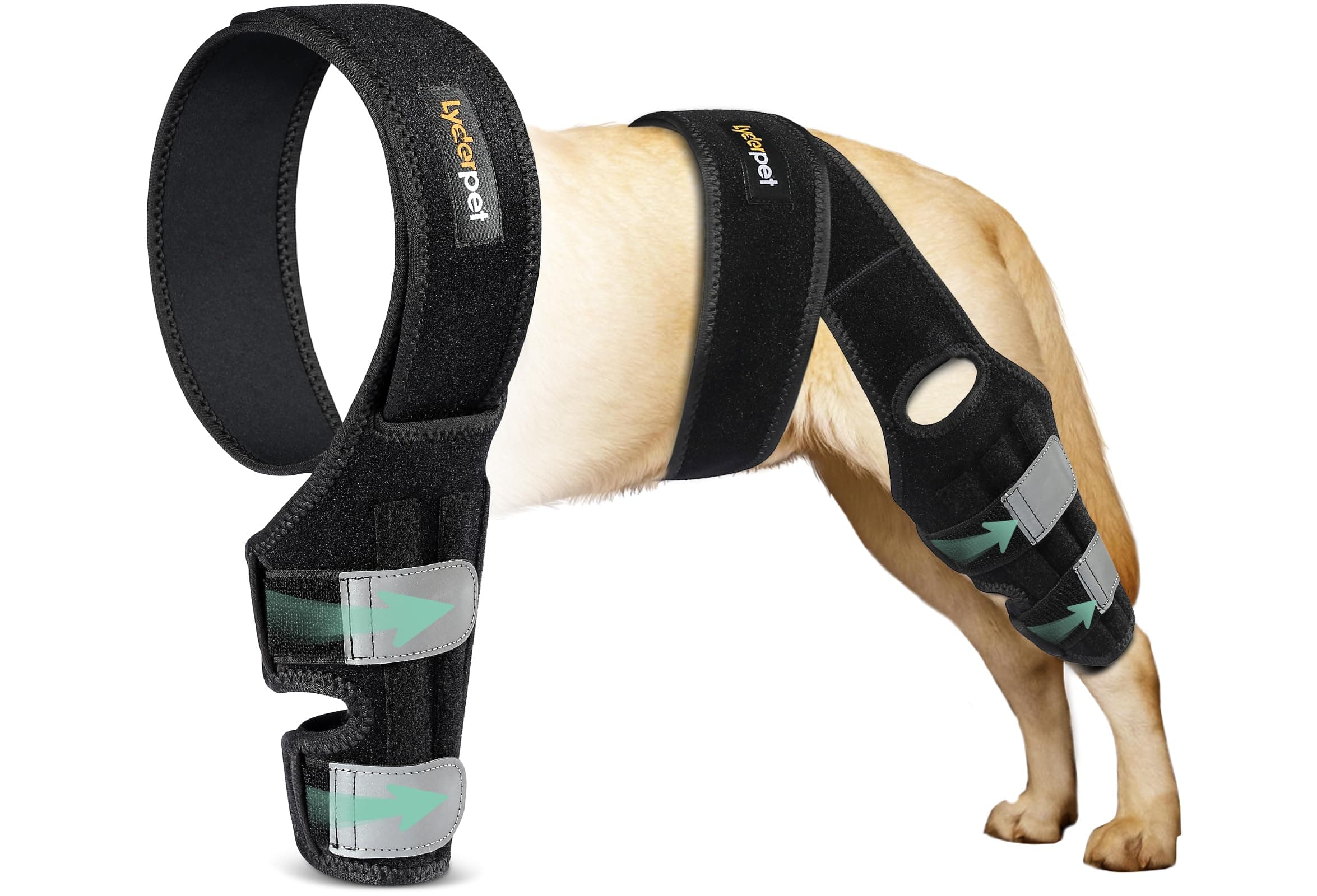 Lyderpet Dog Leg Braces for Back Leg for Support, Dog ACL Brace Hind Leg, Cruciate Ligament Knee Brace for Dogs Rear Leg with Torn ACL, Metal Side Stabilizers Keep The Joint Warm and Stable Small
