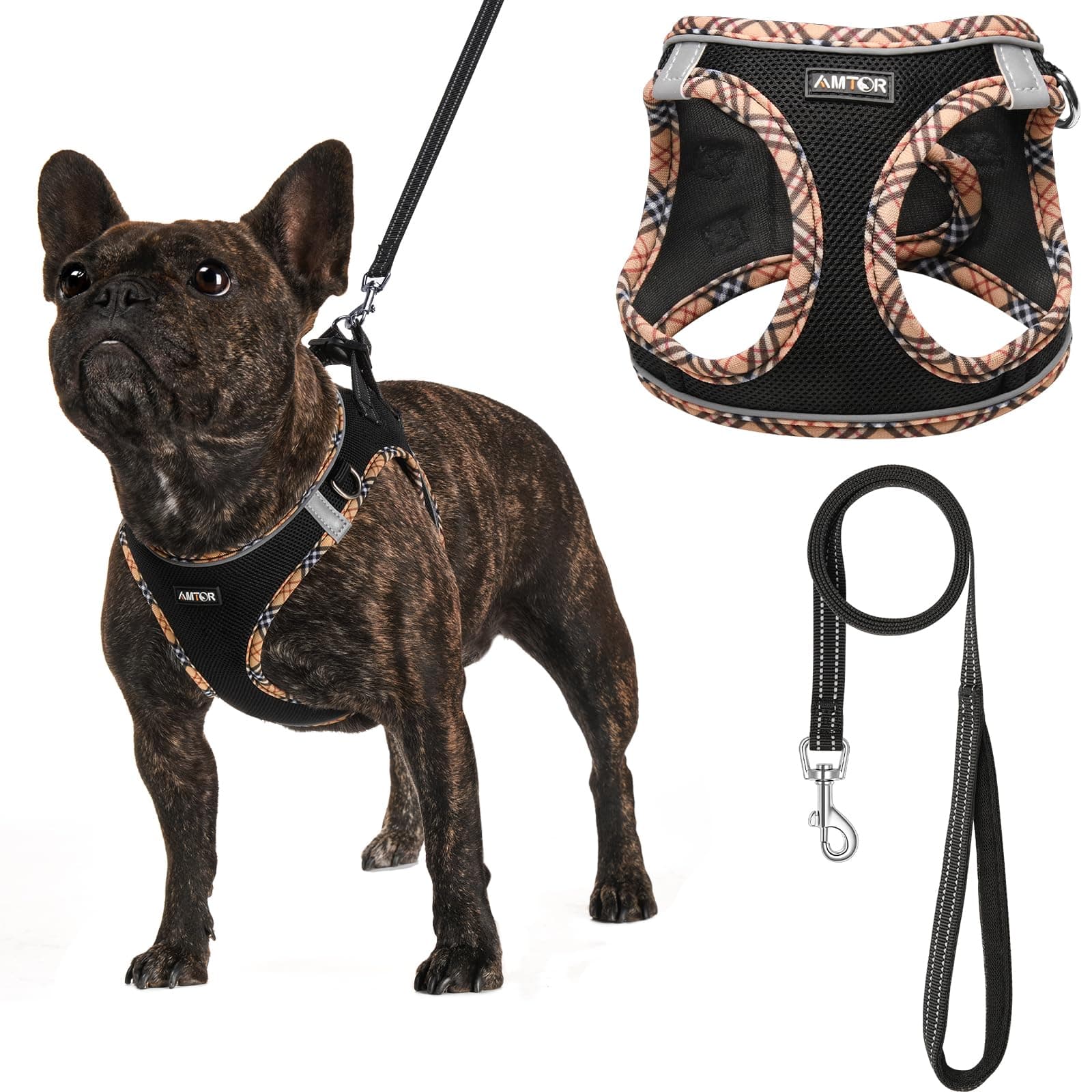 AMTOR Small Dog Harness with Leash Set, No Escape Easy Walk Puppy Harnesses for Training Walking, Step-in Reflective Soft Dogs Vest for XS S Medium Extra-Small Large Sized Dog(BlackYellow,M)