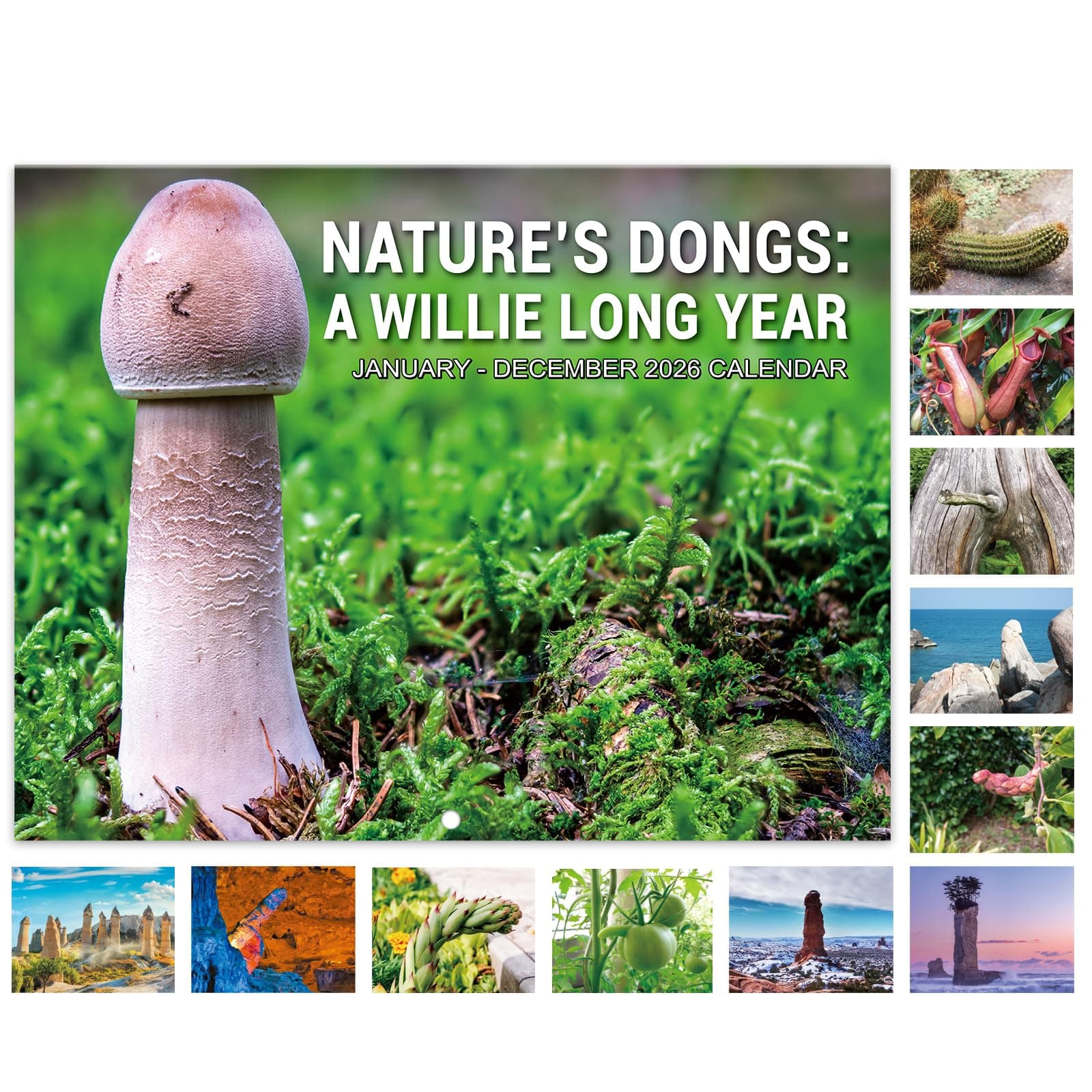Gag Gifts - Funny Calendar 2026, 12 Months from Jan. 2026 - Dec. 2026, 11" x 17" (Open), Wall Calendar with Thick Paper, Perfect Calendars for White Elephant Gag Gifts - Natures Dongs Calendar 2026