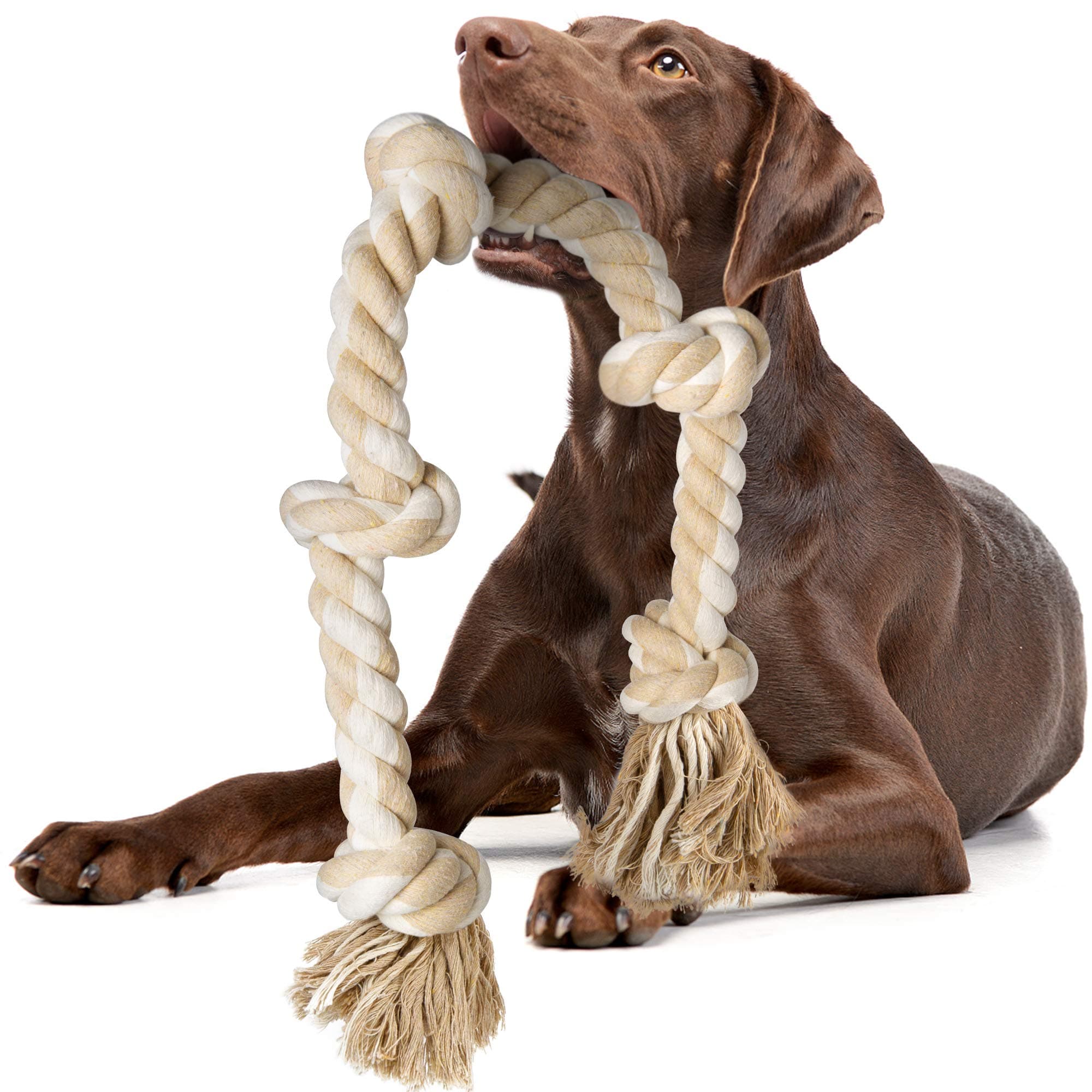 Fida Dog Rope Toys for Aggressive Chewers, Chew Toys for Large Medium Dogs
