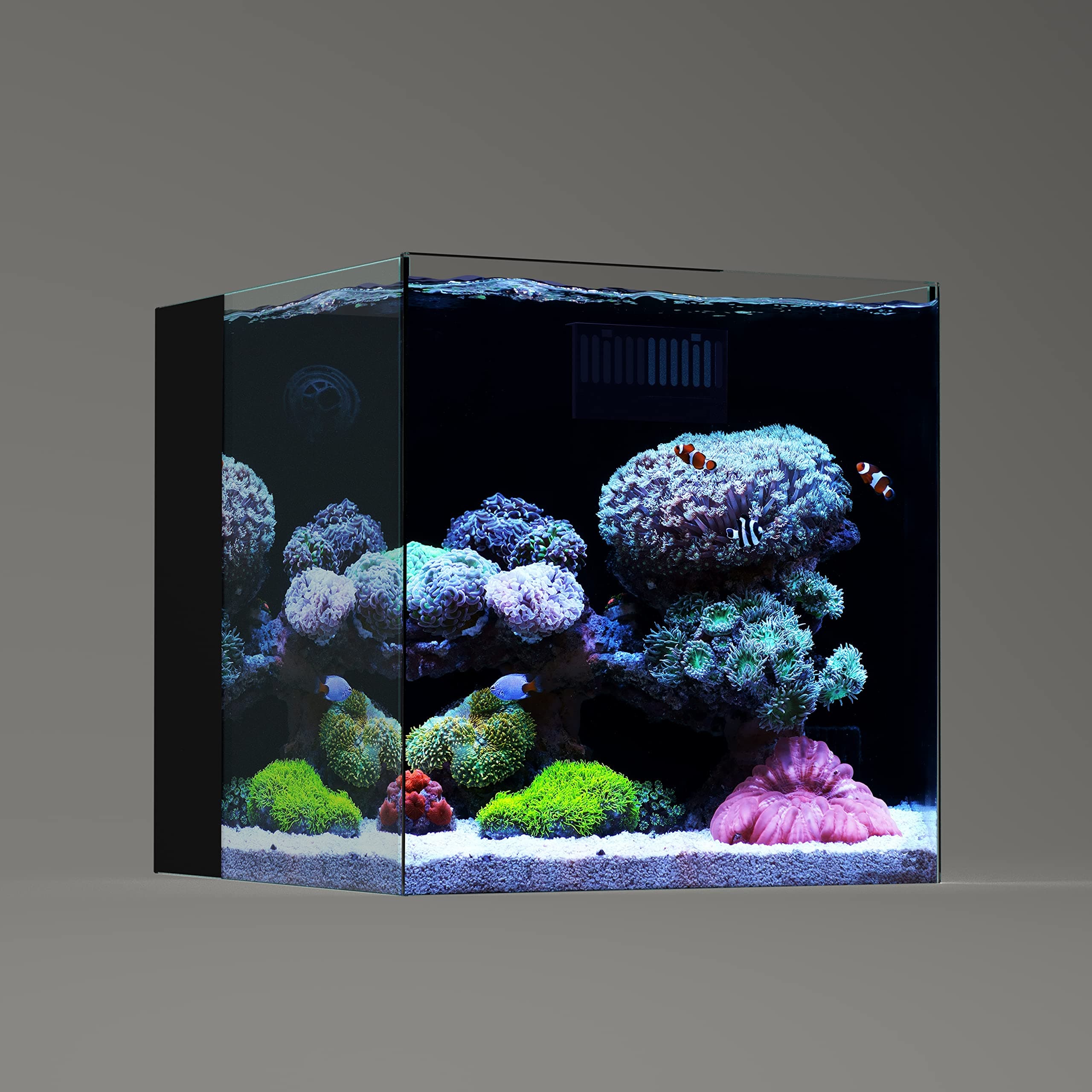 LANDN 35C 7.2 Gallon Ultra Clear All Glass Rimless Low Iron Aquarium Tank with Rear Filtration Chamber(Return Pump Included).13.8Wx13.8Dx13.8H in(35x35x35cm) 6mm Thickness