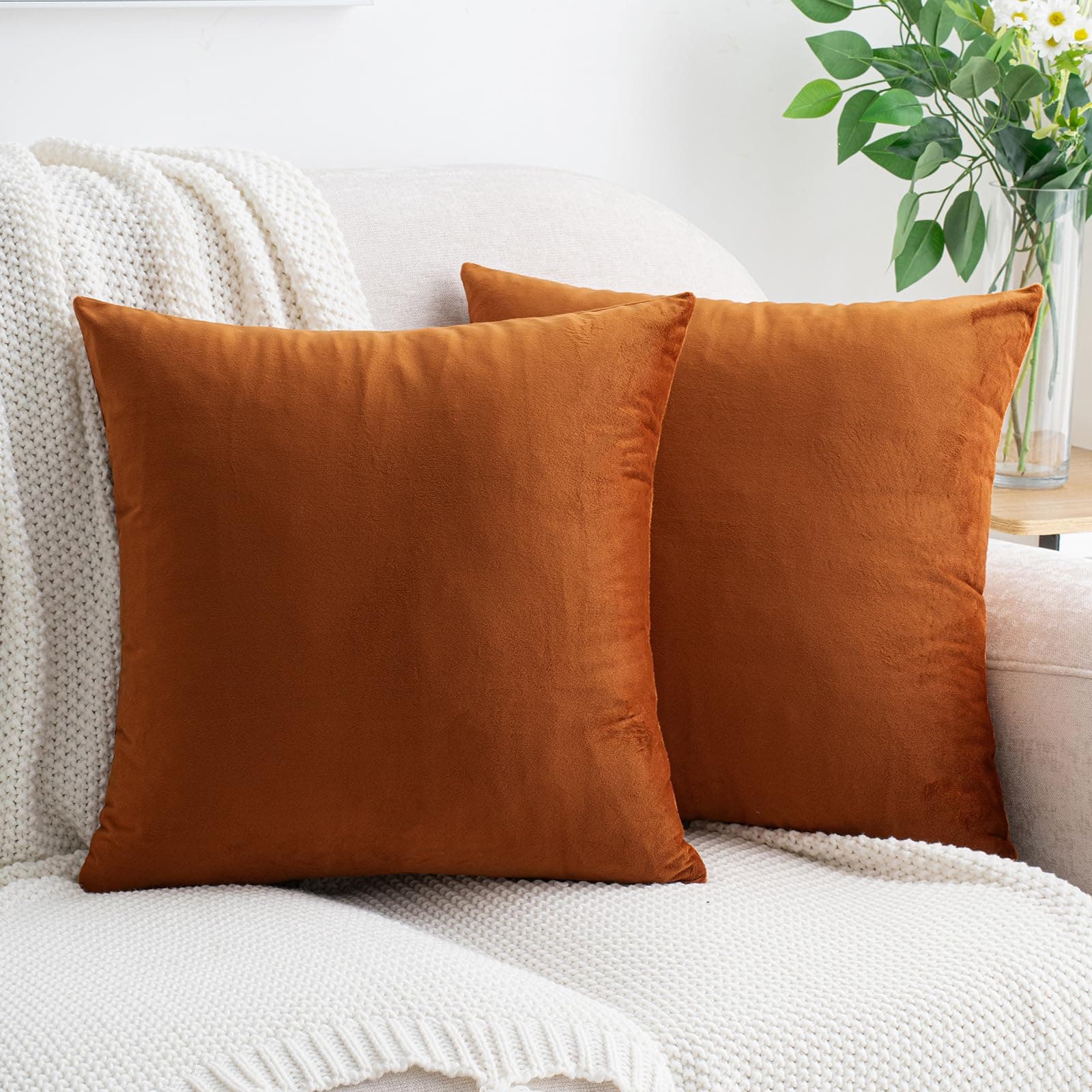 HWY 50 Burnt Orange Velvet Throw Pillow Covers 16x16 Inch, Pack of 2 Soft Cozy Solid Decorative Luxury Fall Cushion Cases for Couch Sofa Bed Living Room Bedroom