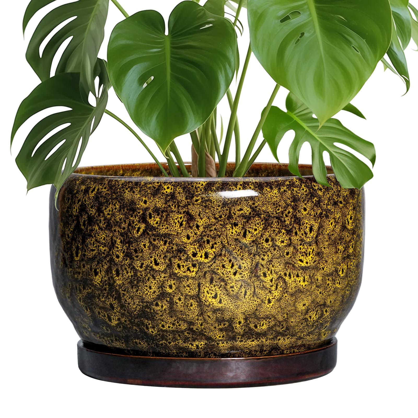 SQOWL 10 Inch Plant Pot - Ceramic Flower Pots with Drainage Hole and Saucer, Ceramic Planter for Indoor Plants Outdoor, Decorative Round Large Planter, House Decor, Gifts for Women Men, Yellow