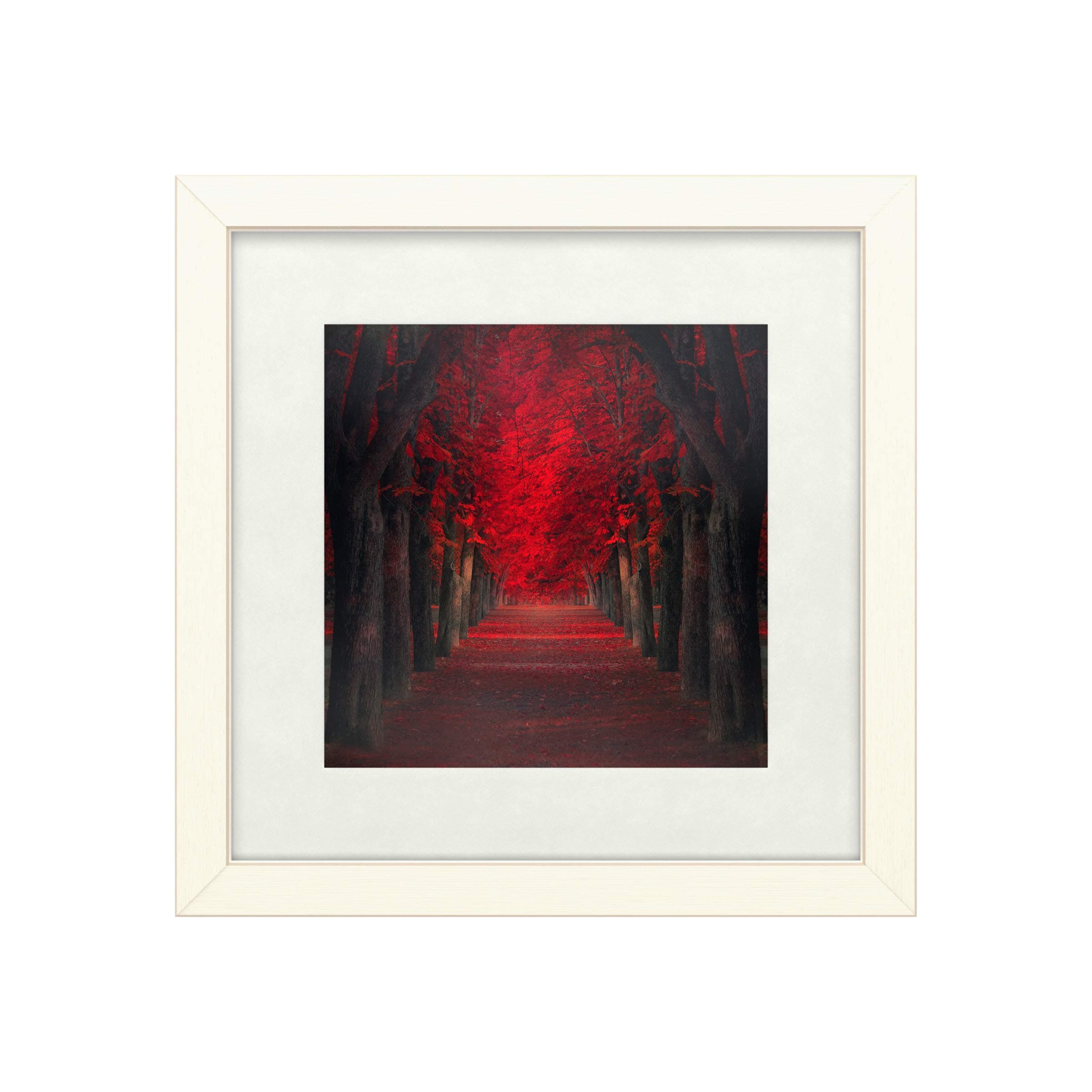 Trademark Fine Art Endless Passion by Ildiko Neer, Matte, Distressed White Frame 16x16, Multi-Color