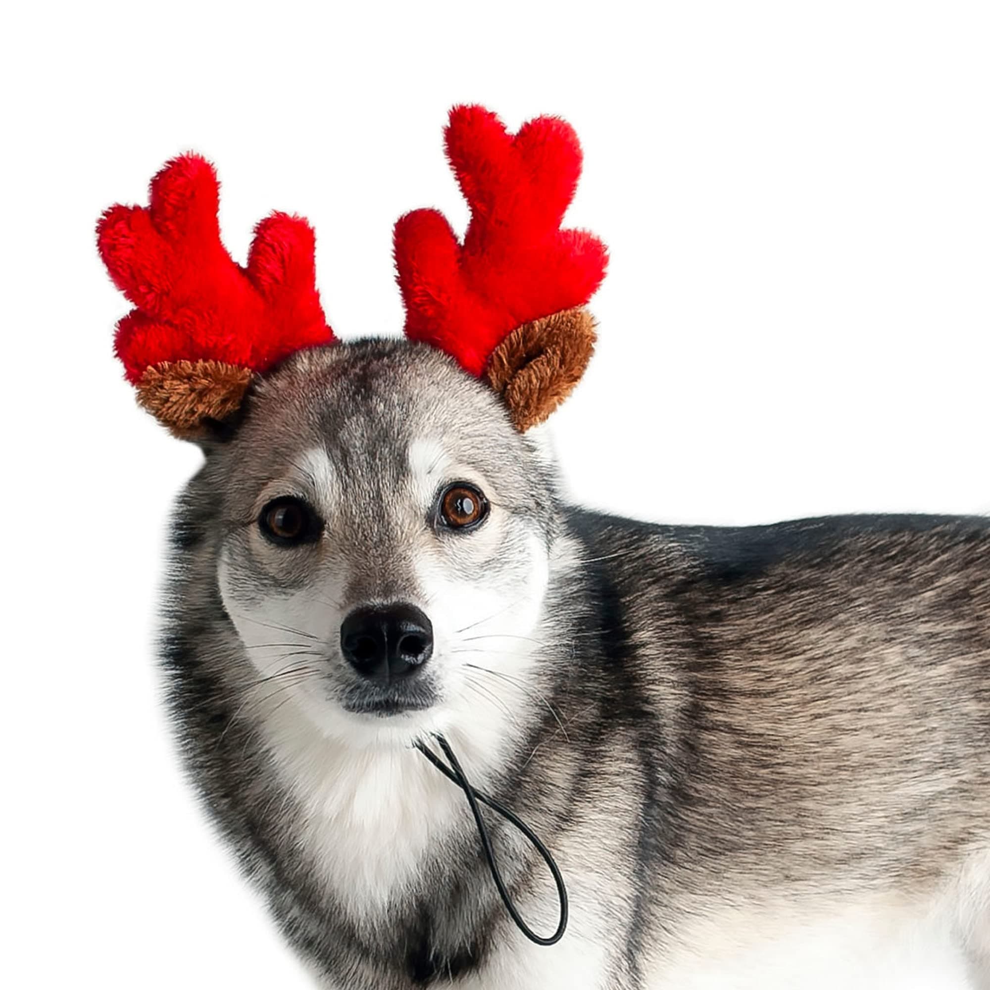 Midlee Christmas Reindeer Antlers- Small