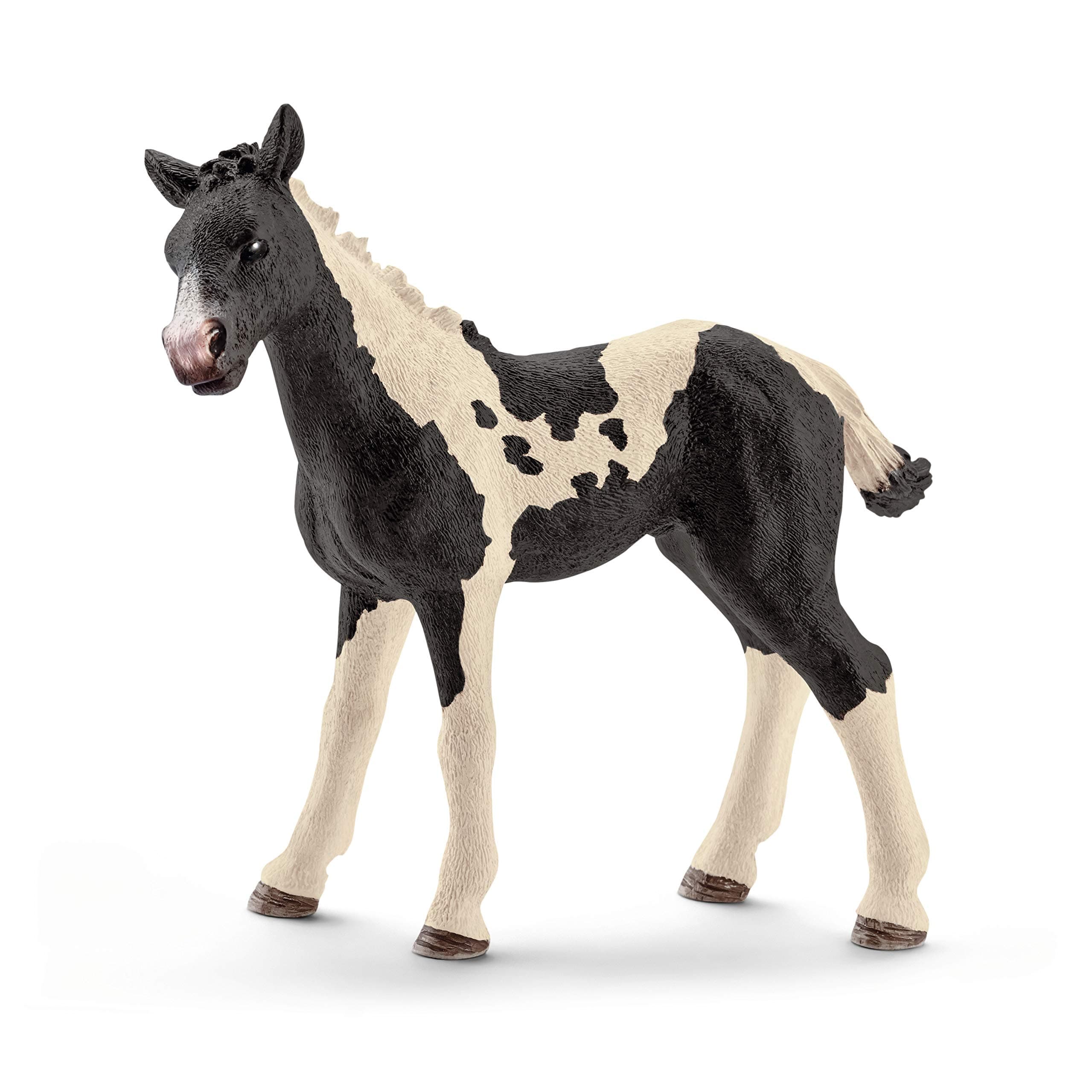 SCHLEICH Farm World, Animal Figurine, Farm Toys for Boys and Girls 3-8 Years Old, Pinto Foal, Multicolor