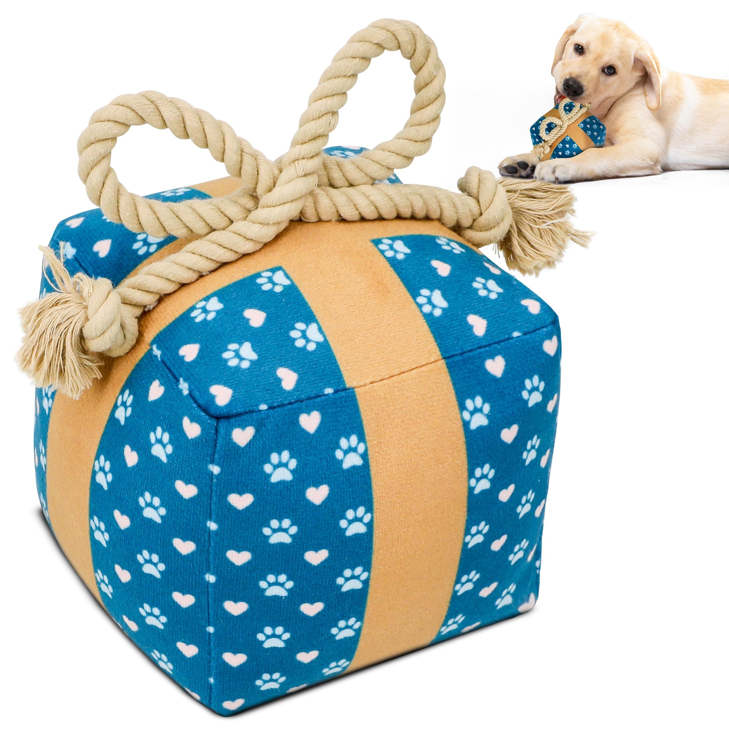 PUPROAR Gift Box Dog Toy with Rope, Birthday Dog Toy, Cute Squeaky Plush Puppy Present, Interactive Toy for Medium and Large Breeds