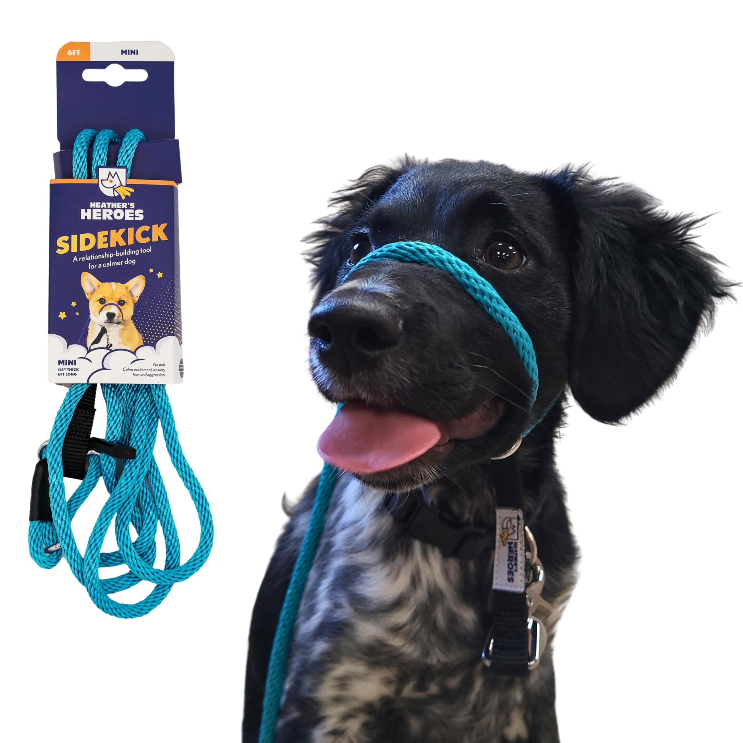 Heather's Heroes Sidekick Dog Headcollar With Leash - Effective Training Tool for Leash Reactivity and Behavior Issues (Turquoise, Mini 1/4")