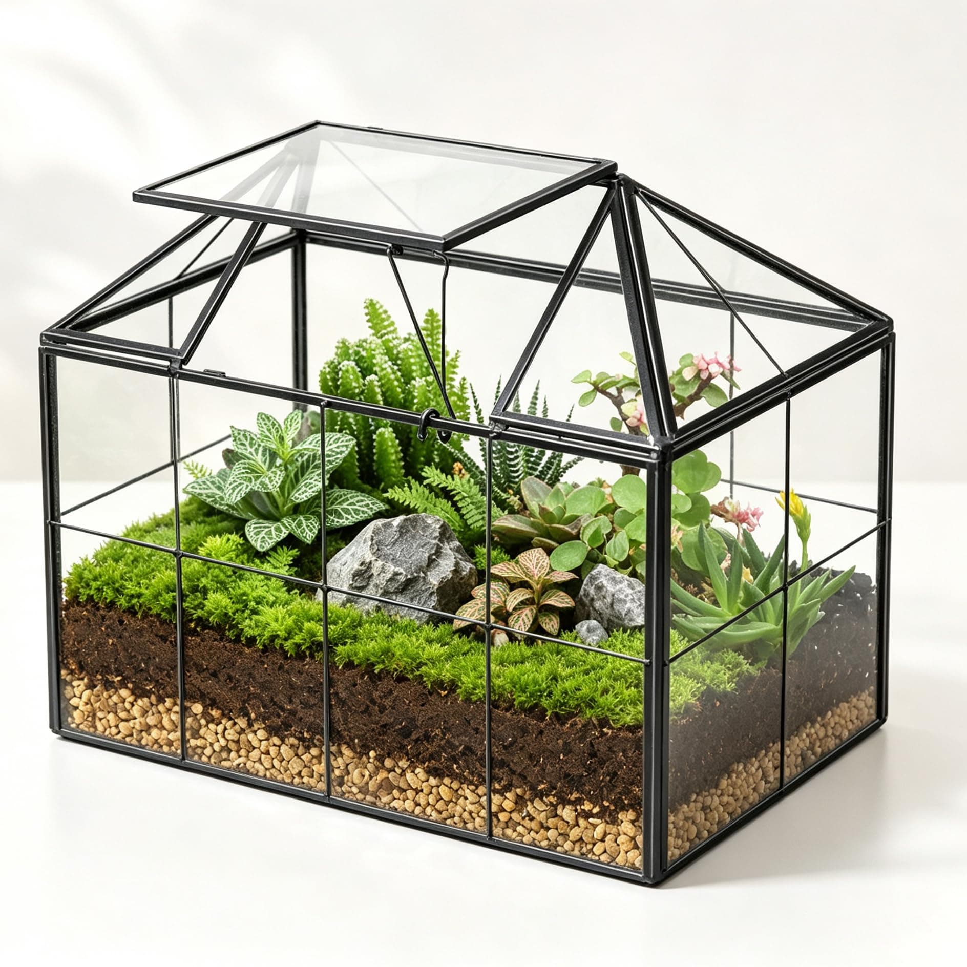 Ferrisland Glass Geometric Plant Terrarium, Clear Glass Succulent