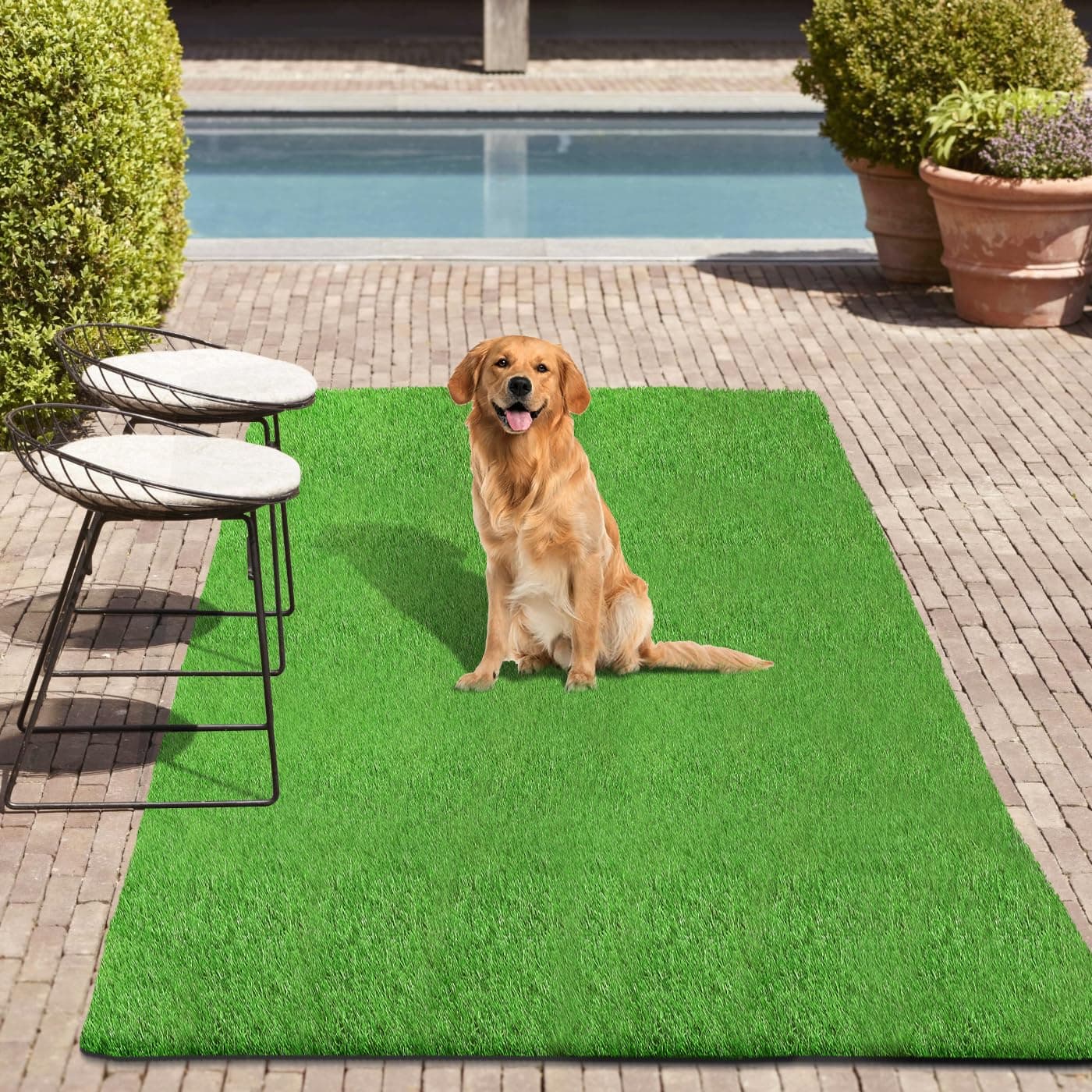 Artificial Grass Rug 3.3x5 Ft Realistic Indoor Outdoor Rug for Dogs with Drain Holes, Fake Grass Dog Pet Turf Mat for Garden Lawn Landscape Patios