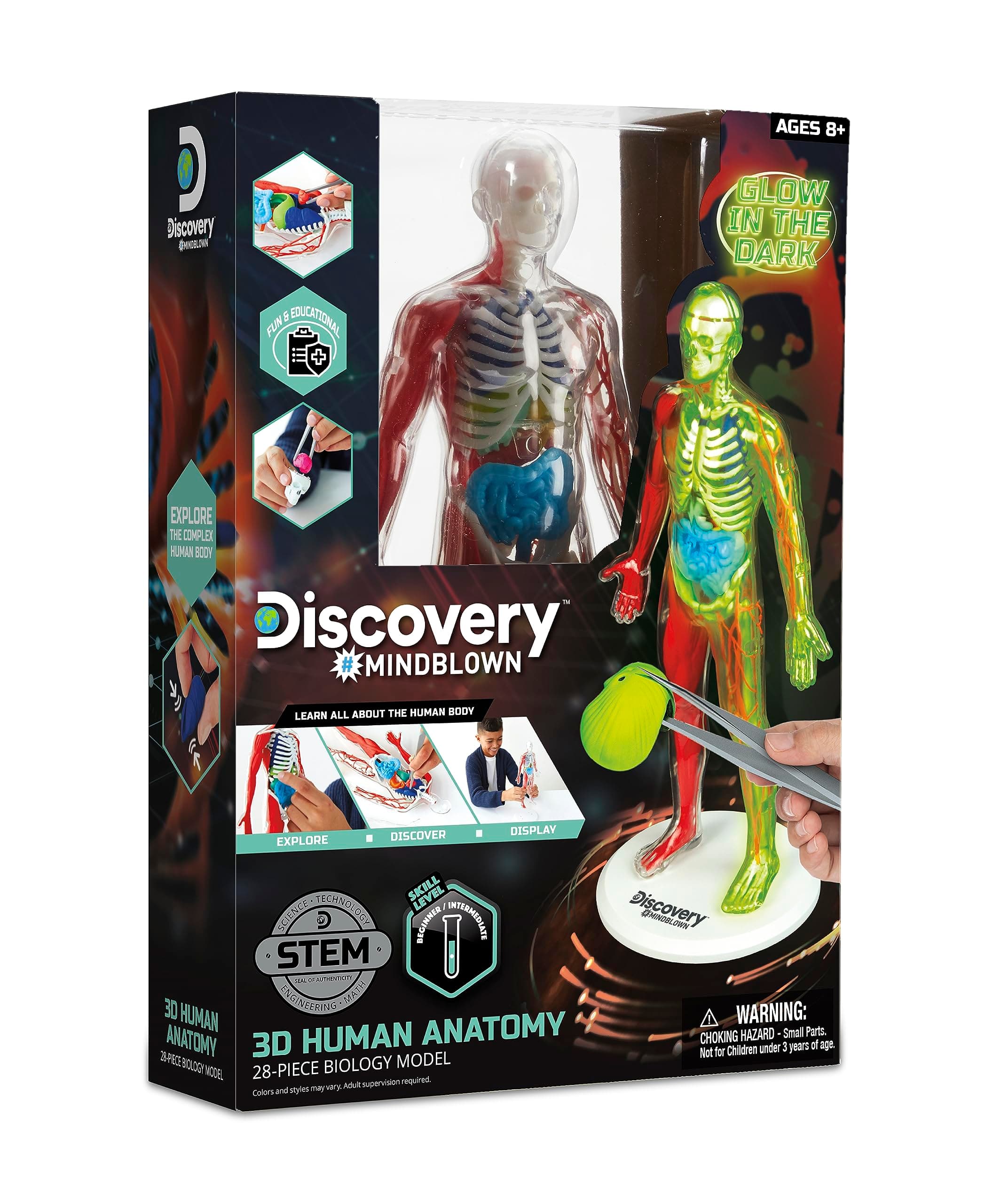 Discovery Toy Human Anatomy Kit