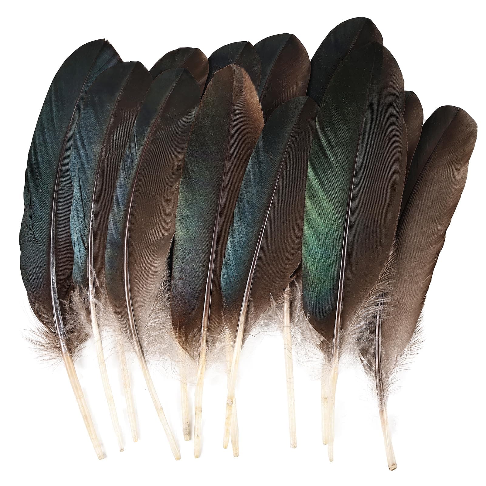 MehelloFeather Plumas de faisán, 12 unidades, cola de plumas de pavo de 8 a 10 pulgadas para manualidades, sombreros, arreglos florales, decoraciones de Halloween