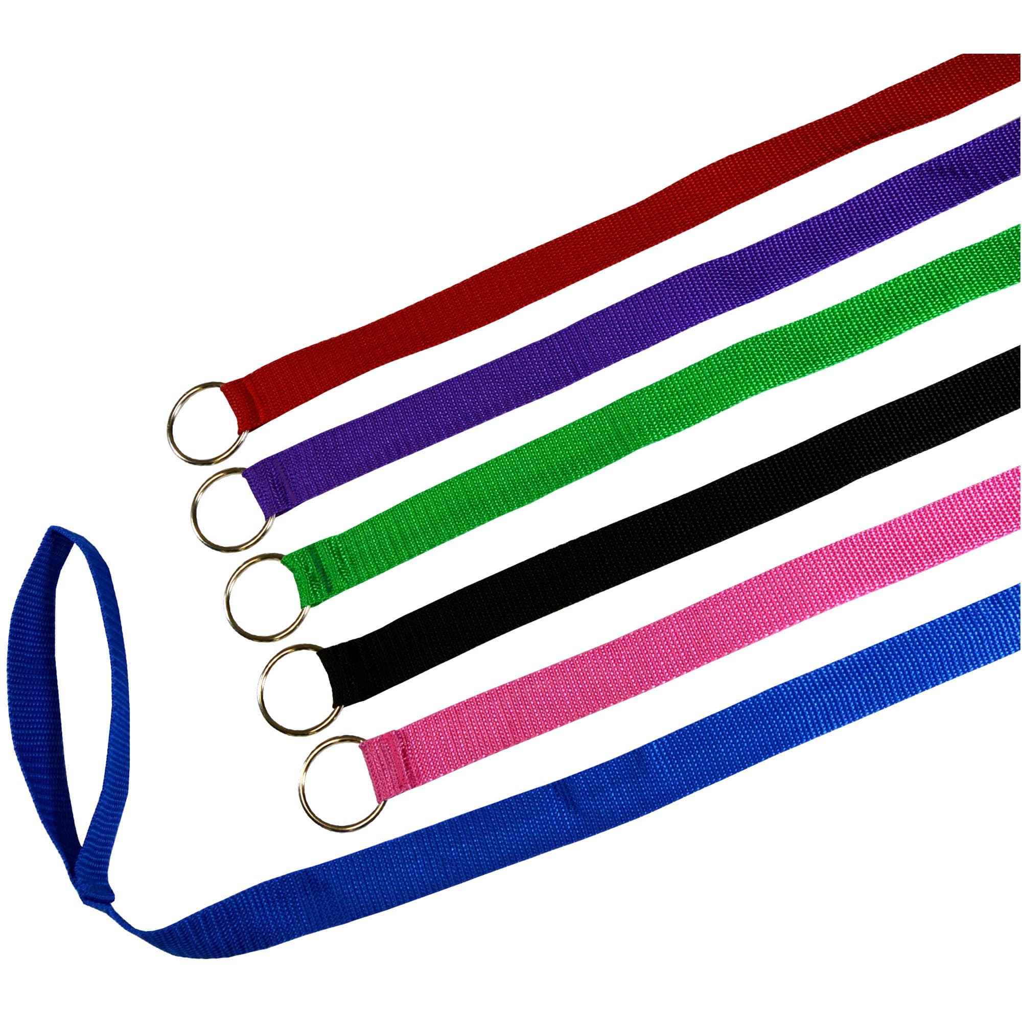6 Foot Slip Lead, Slip Leads, Kennel Leads with O Ring for Dog Pet Animal Control Grooming, Shelter, Rescues, Vet, Veterinarian, Doggy Daycare (Size: 6 Foot x 1 inch, Colors: Various)