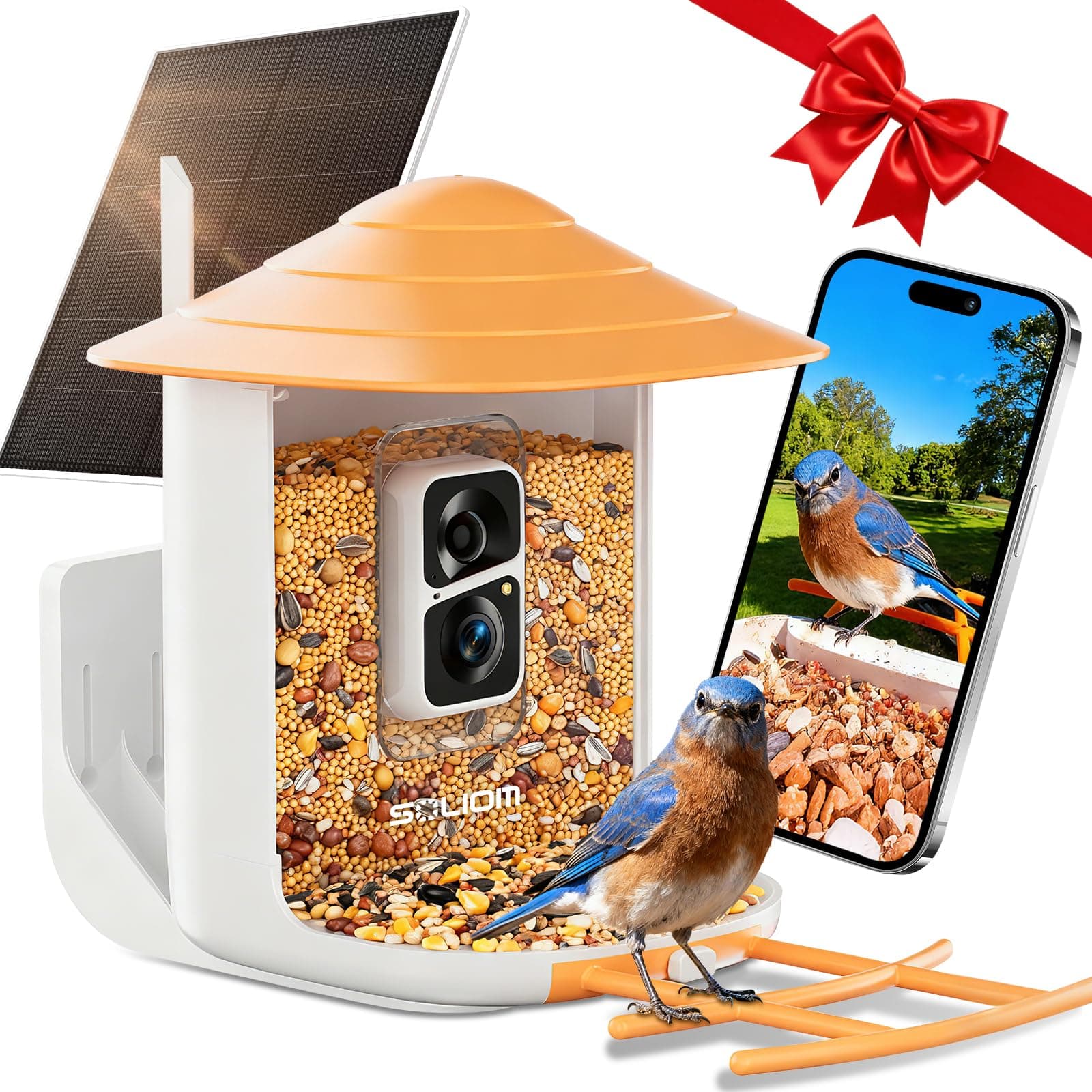 SOLIOM Smart Bird Feeder with Camera, 11000+ AI Bird Recognition, Auto Record&Instant App Notifications, 2K HD Color Night Vision, IP65 Weatherproof &1.8L Large Capacity, Gift for Bird Lovers