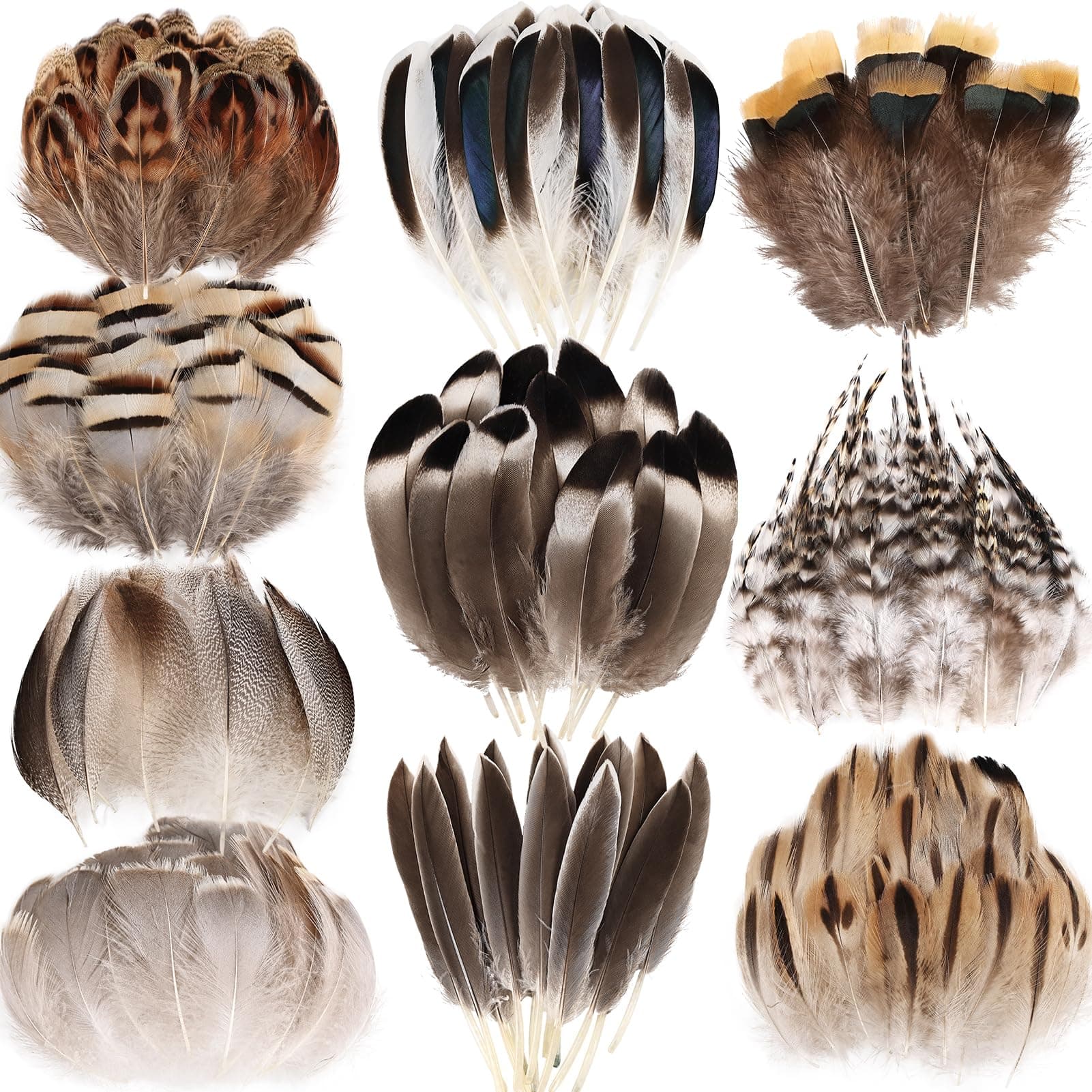 THARAHT 300pcs Small Natural Feathers Bulk-10 Styles Decorative Natual Pheasant Feather for DIY Crafts Clothing Jewelry Hat Wedding Home Party Decoration Feathers