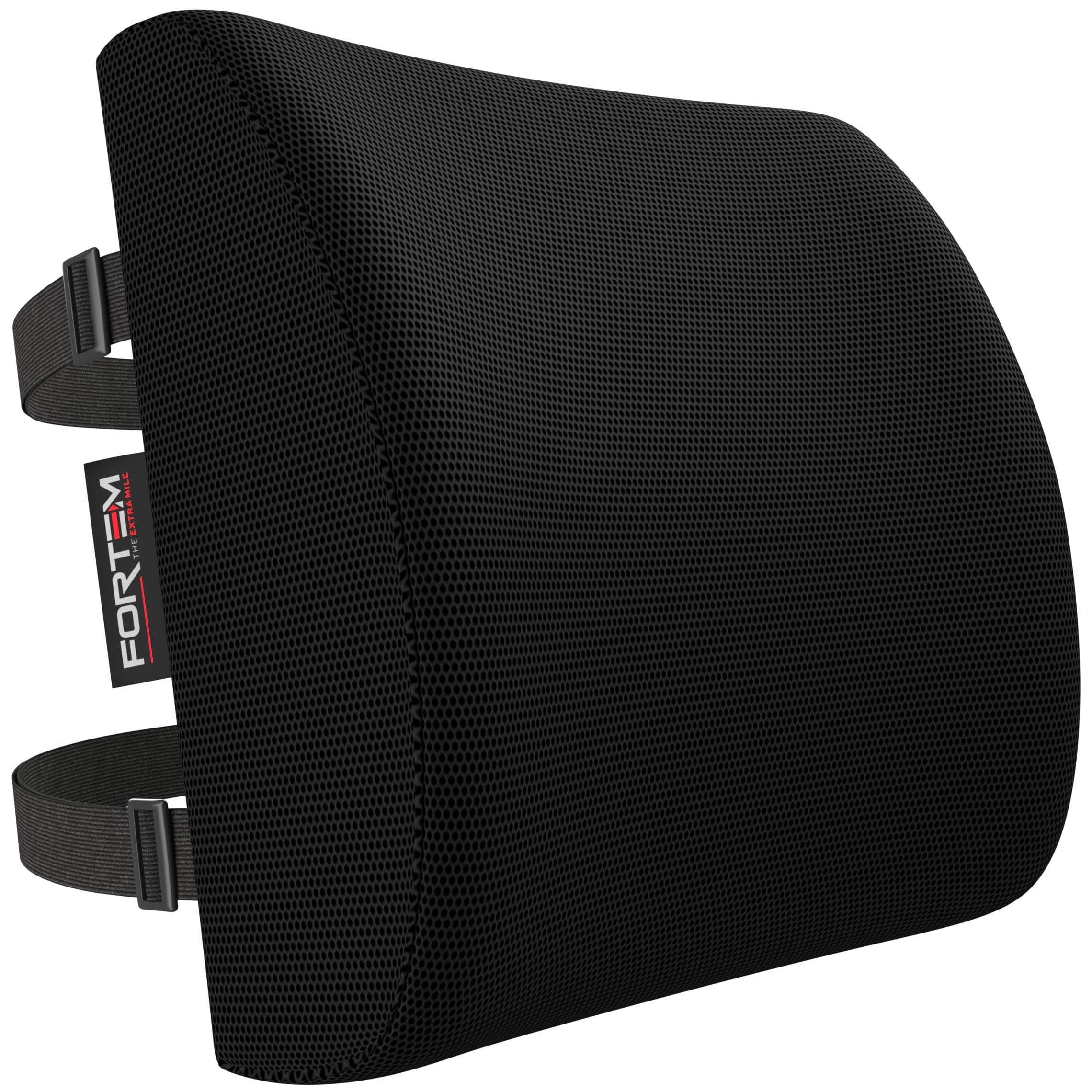 FORTEM Lumbar Support Pillow for Office Chair Lumbar Support Pillow for Car
