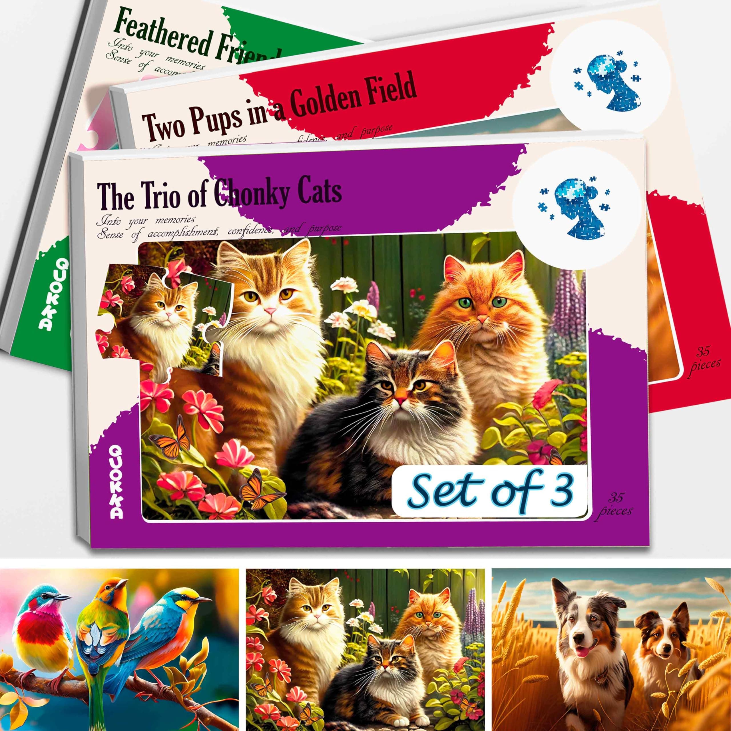 35 Pieces Dementia Puzzles for Elderly - 3 Alzheimers Jigsaw Puzzle Games