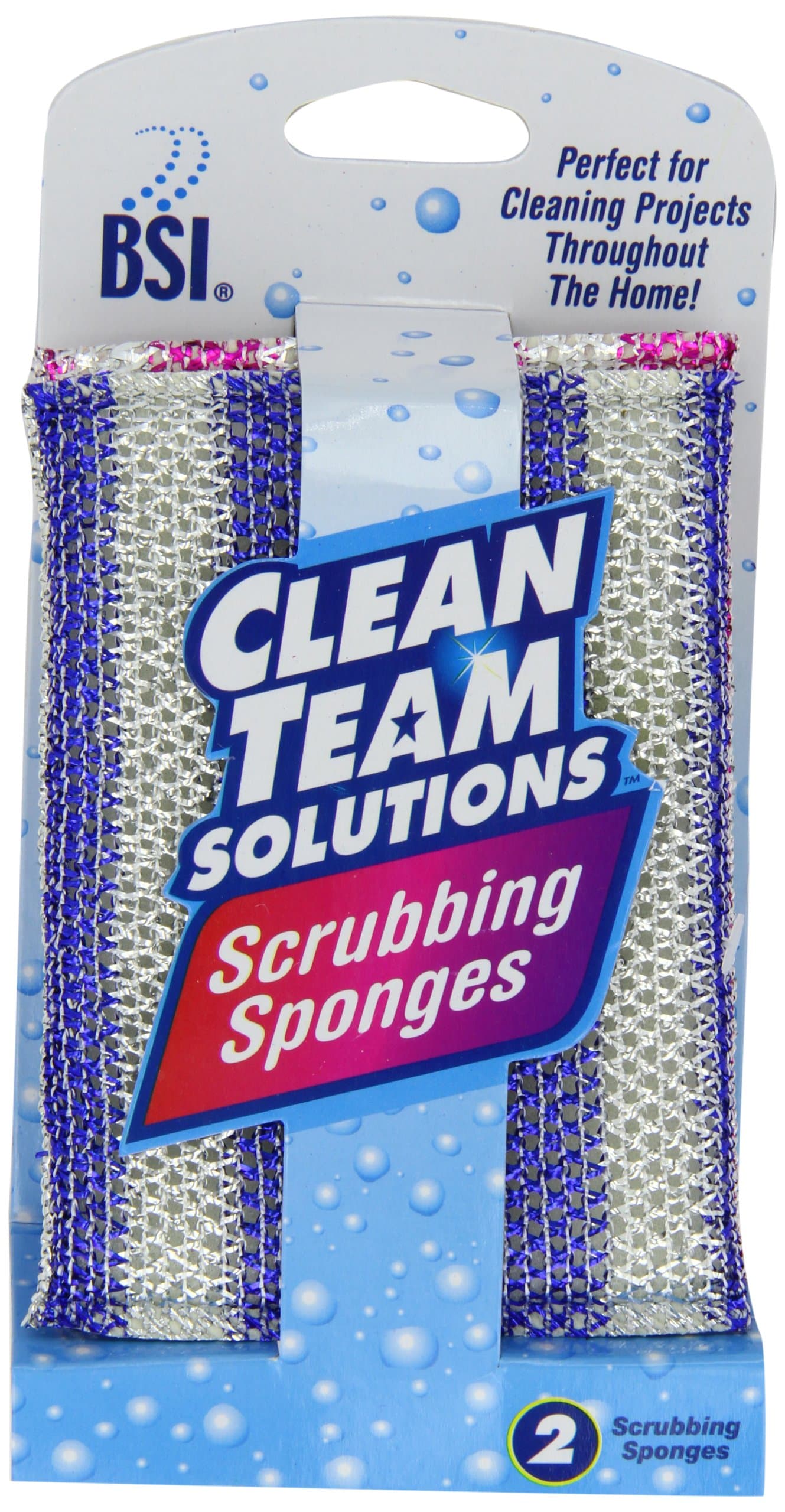 BSI Clean Team Solutions Two Sided Round Light Duty Sponge, 6 Count