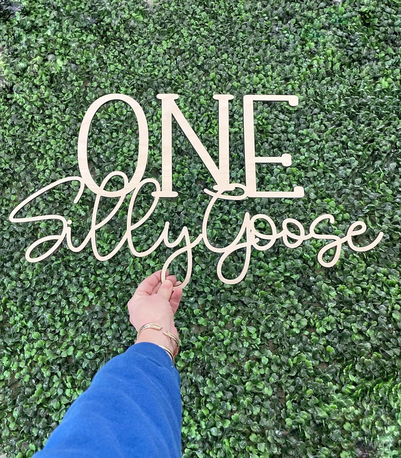 One Silly Goose Sign for Backdrop,Silly Goose Birthday Sign for 1st Birthday Party Decoration,Silly Goose First Birthday Decorations Duck Birthday Funny Goose Party Supplies