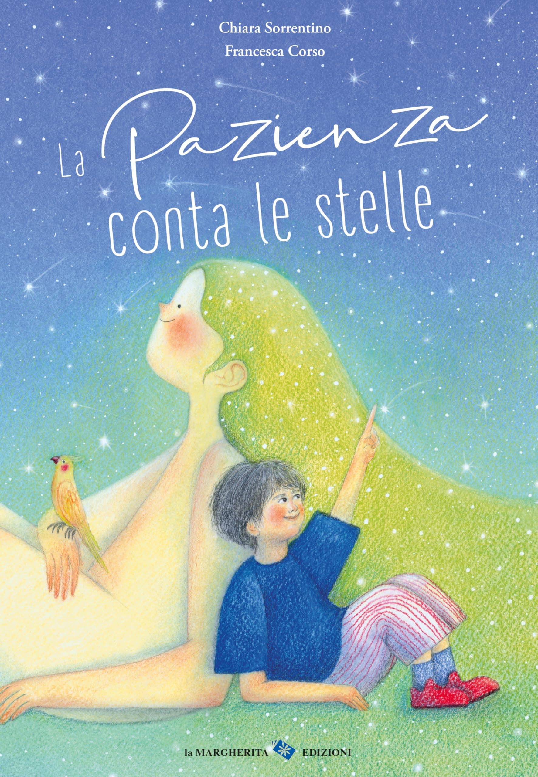La pazienza conta le stelle (Libri illustrati)