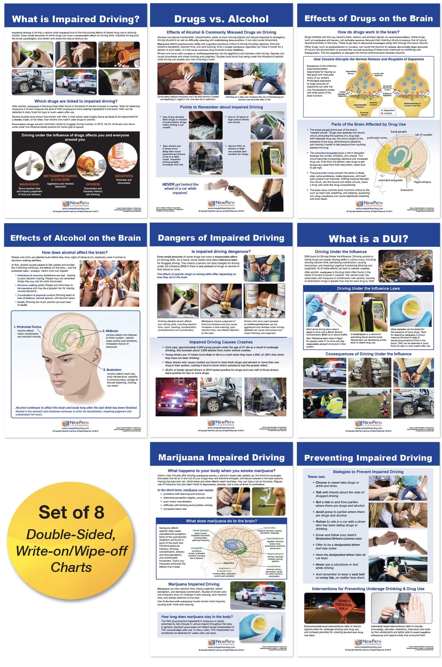 NewPath Learning Impaired Driving Bulletin Board Charts, Set/8 - Laminated, Double-Sided, Full-Color, 12" x 18" (96-6009)