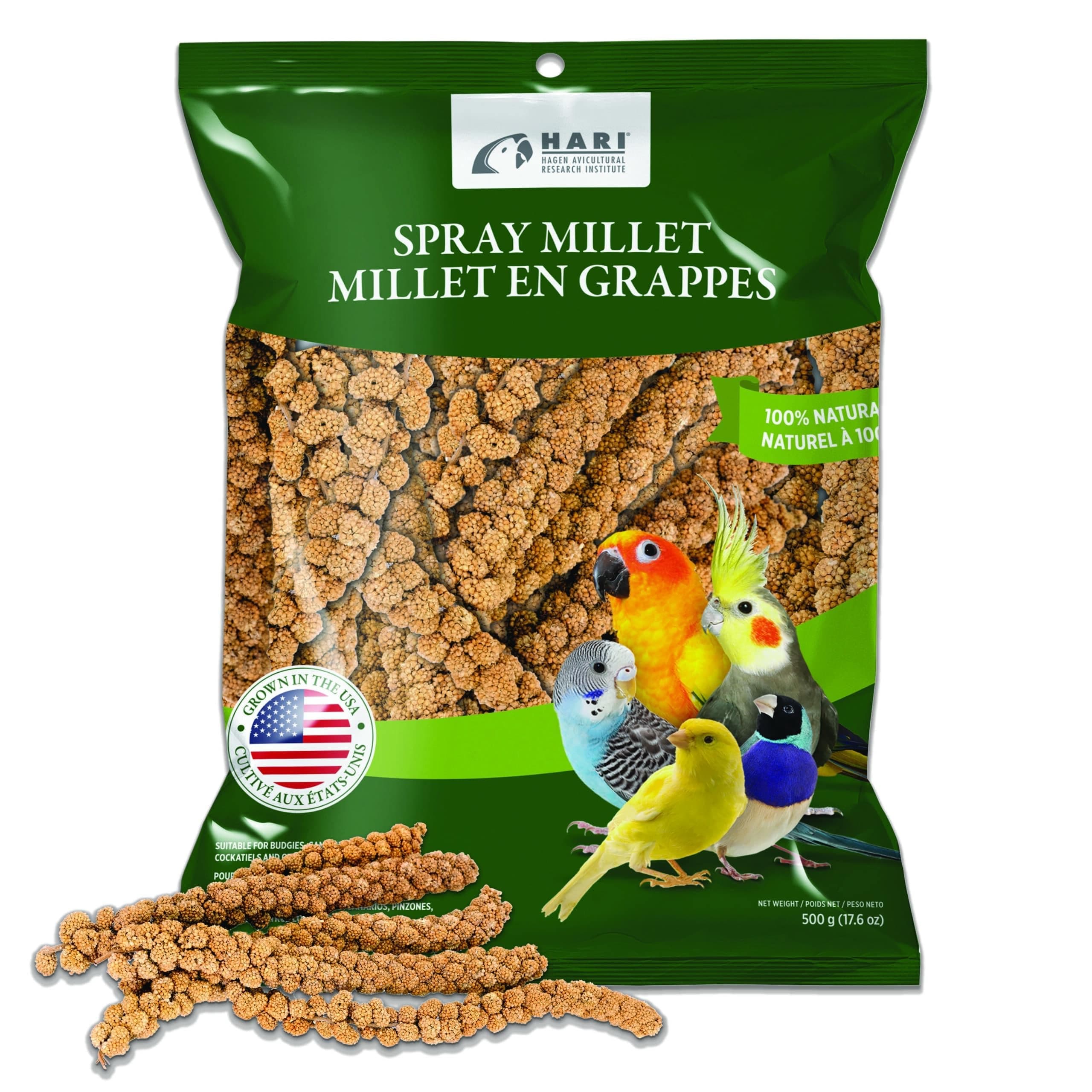 Living World Millet Spray for Birds, 17.6 Oz