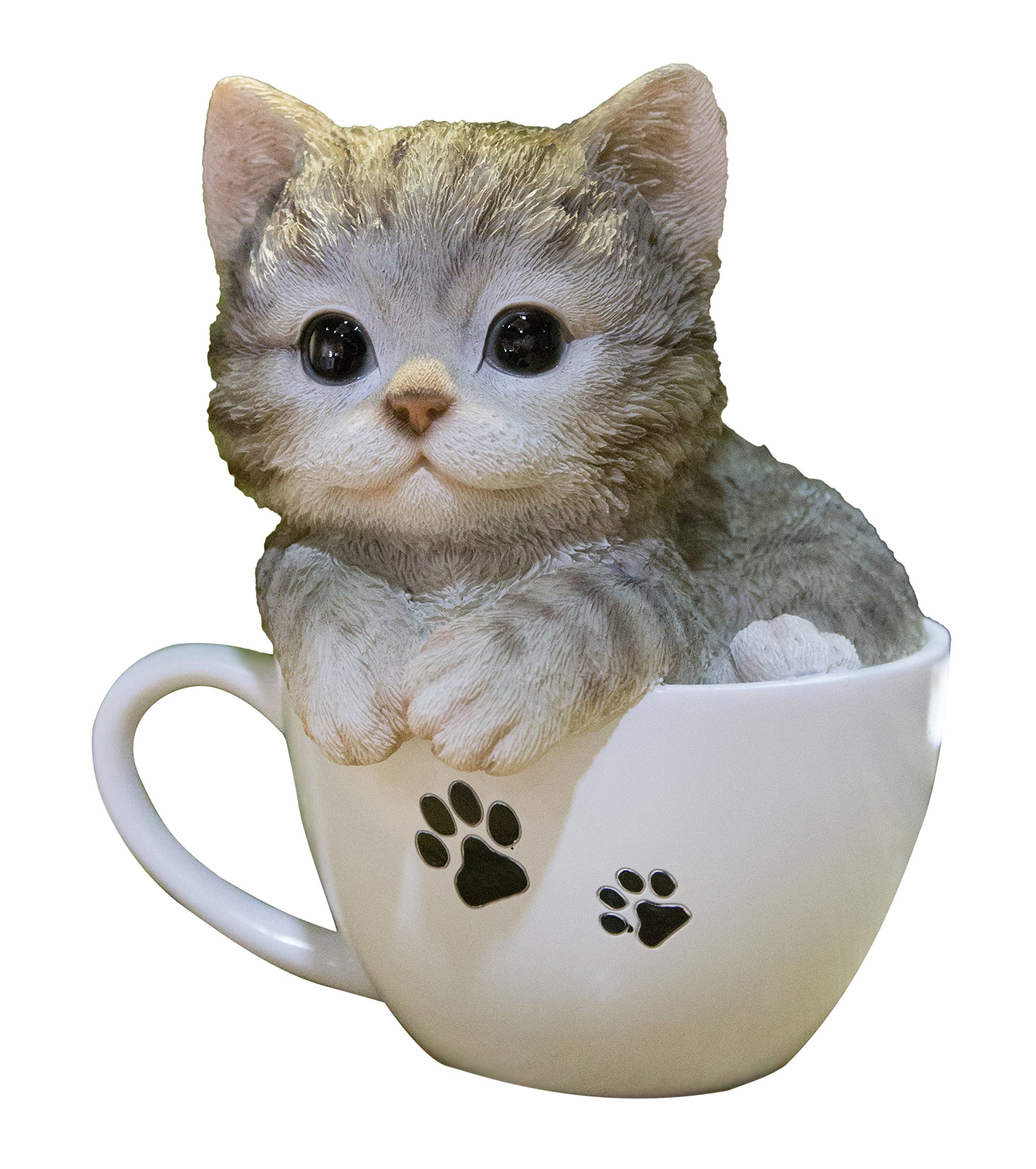 Hi-Line Gift Ltd Pet Pals-Teacup Kitten Grey Tabby