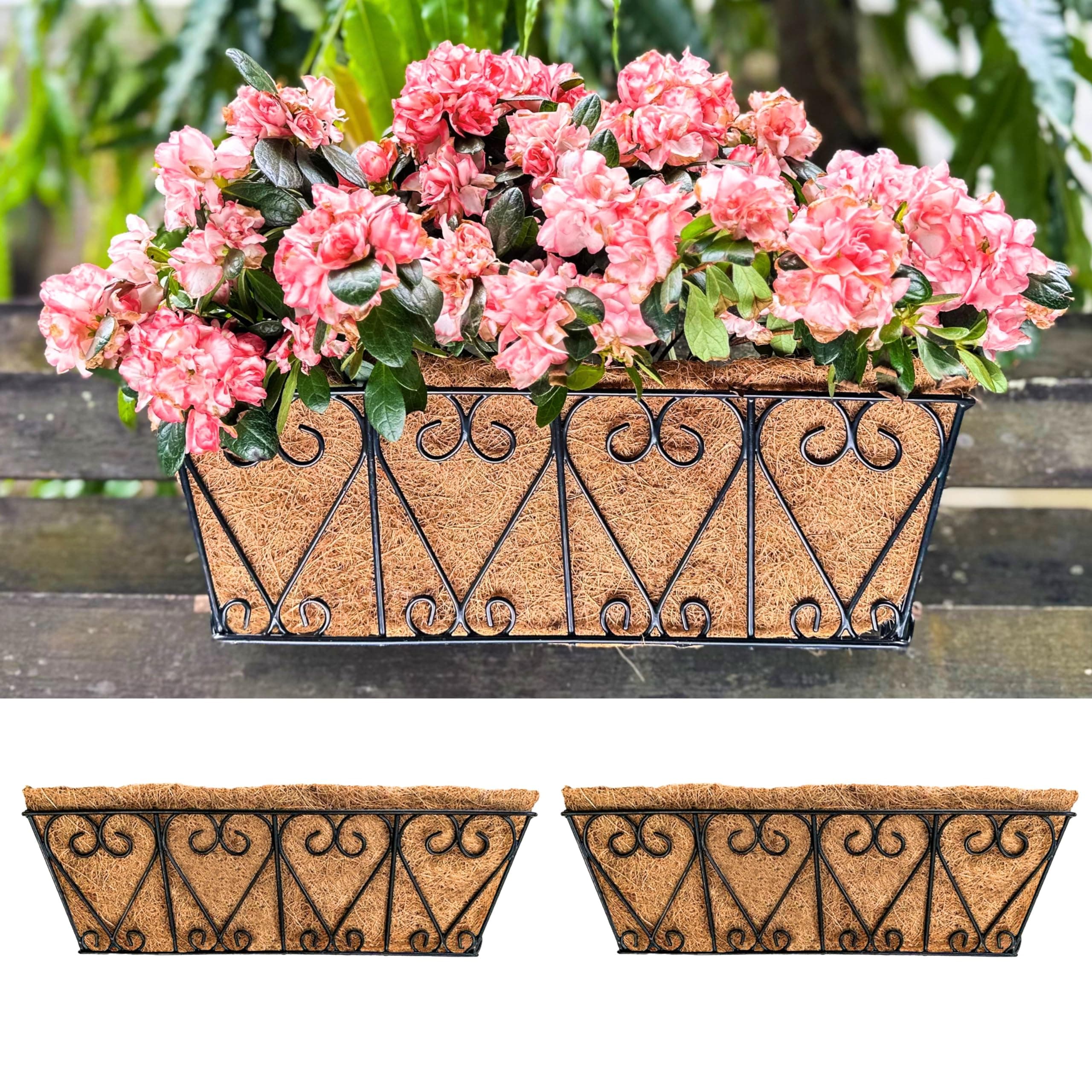 LaLaGreen Wall Planters (16 Inch, 2 Pack) Window Flower Boxes Outdoor, Deck Railing Hanging Metal Wire Basket Black with Coco Liners Horse Troughs Fence Balcony Garden Farmhouse Patio Porch Over Rail