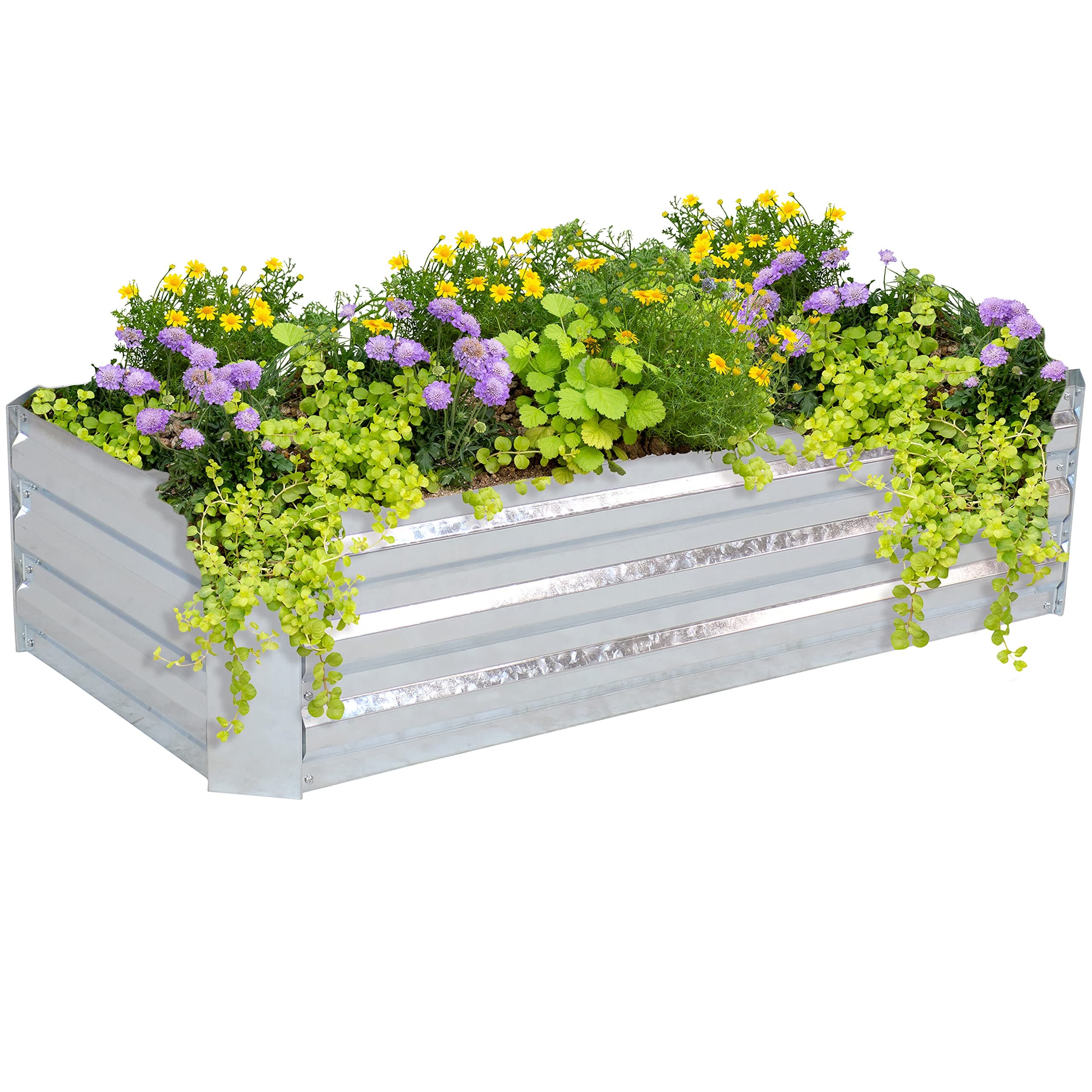 Sunnydaze Galvanized Raised Garden Bed, Rectangle, 4x2x1 ft, Silver