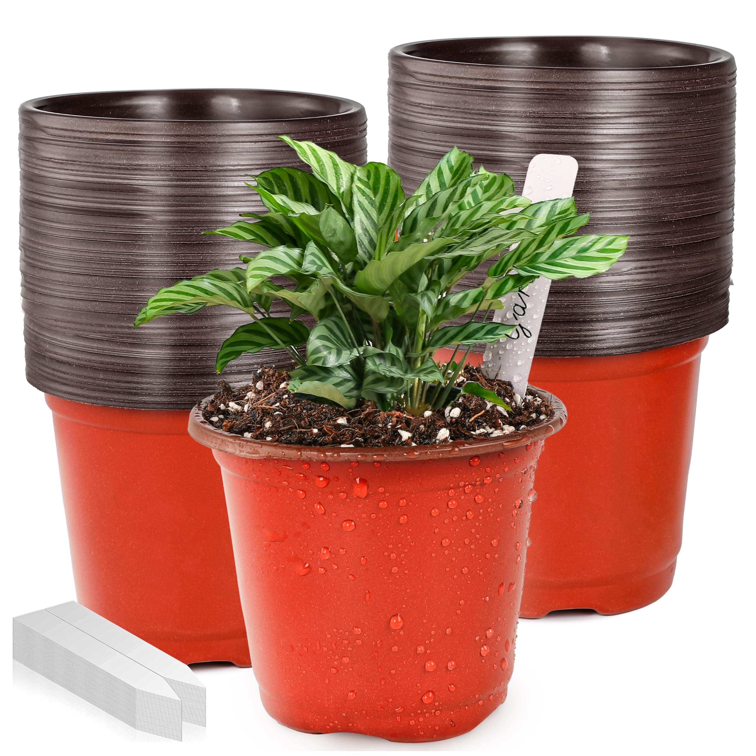 LWWTBS Plant Nursery Pots 100 Pcs 4" Plastic Small Plants Pots Flower Pots Seed Starting Pots for Plants Indoor/Outdoor Seeding pots (with 100 Plant Labels)