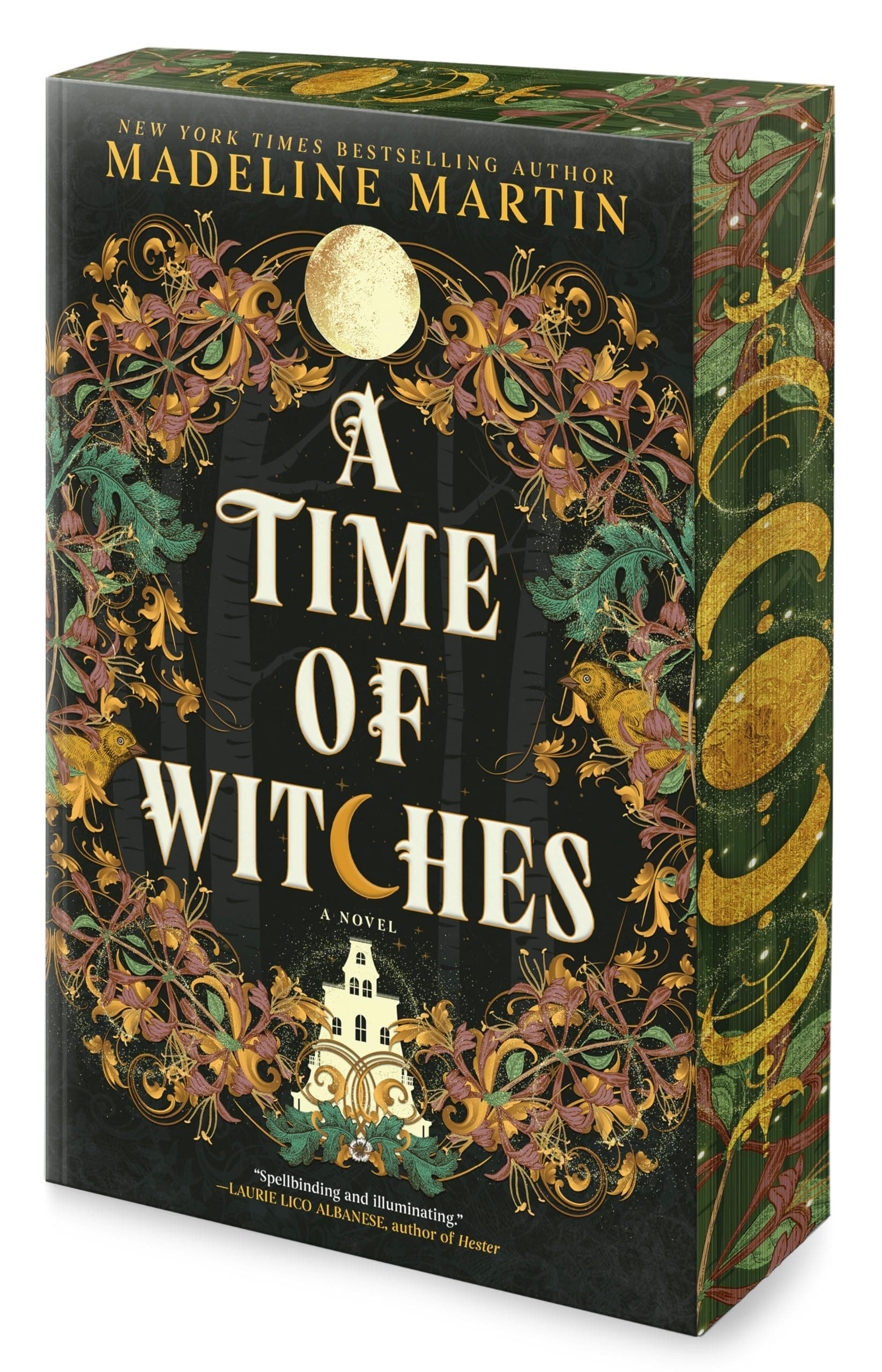A Time of Witches: A Gothic Historical Mystery of Family Secrets and Witchcraft