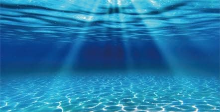 Dtekoj Natural Undersea Aquarium Background, Underwater Ocean Sunlight Fish Tank Background 36X18IN with 8 EVA Double-Sided Tape